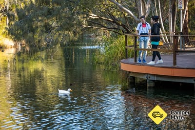 Hervey Bay Botanic Gardens