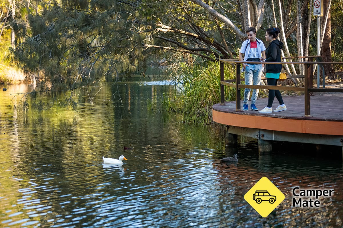 Hervey Bay Botanic Gardens