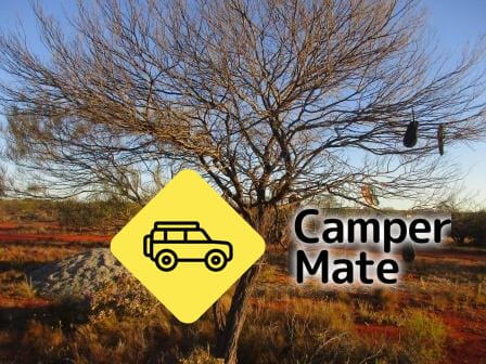 Curara Farm Bush Camp