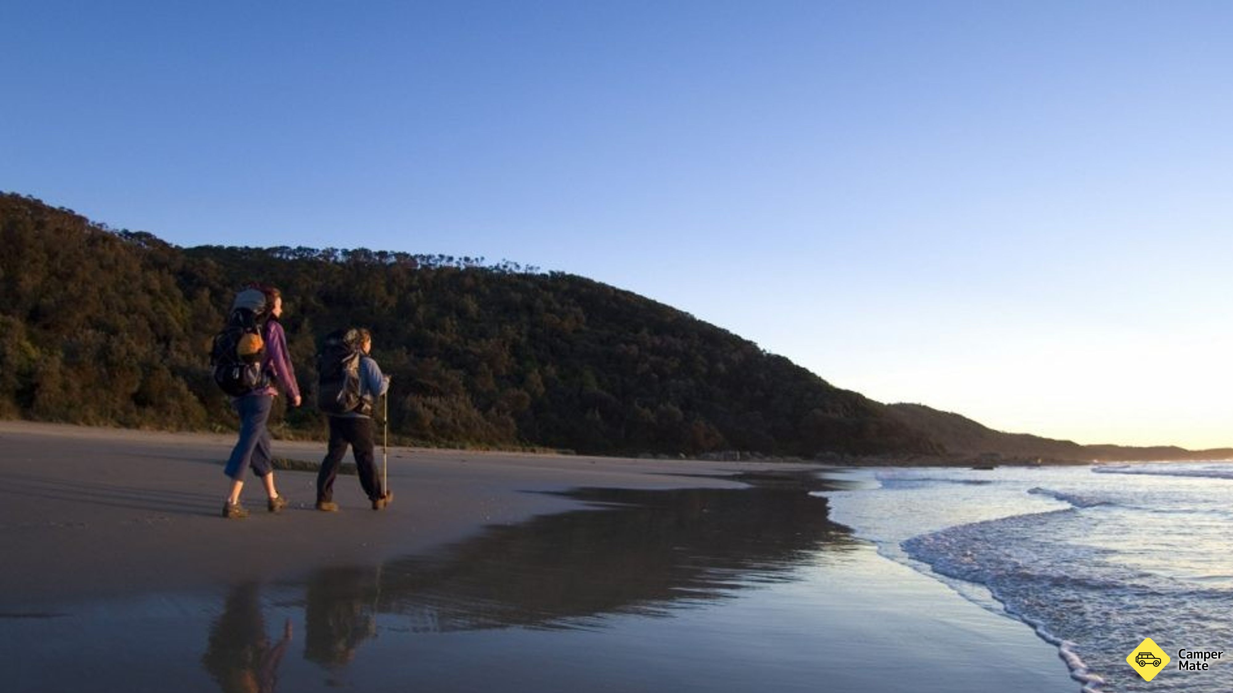 Flug Cove Walking Track
