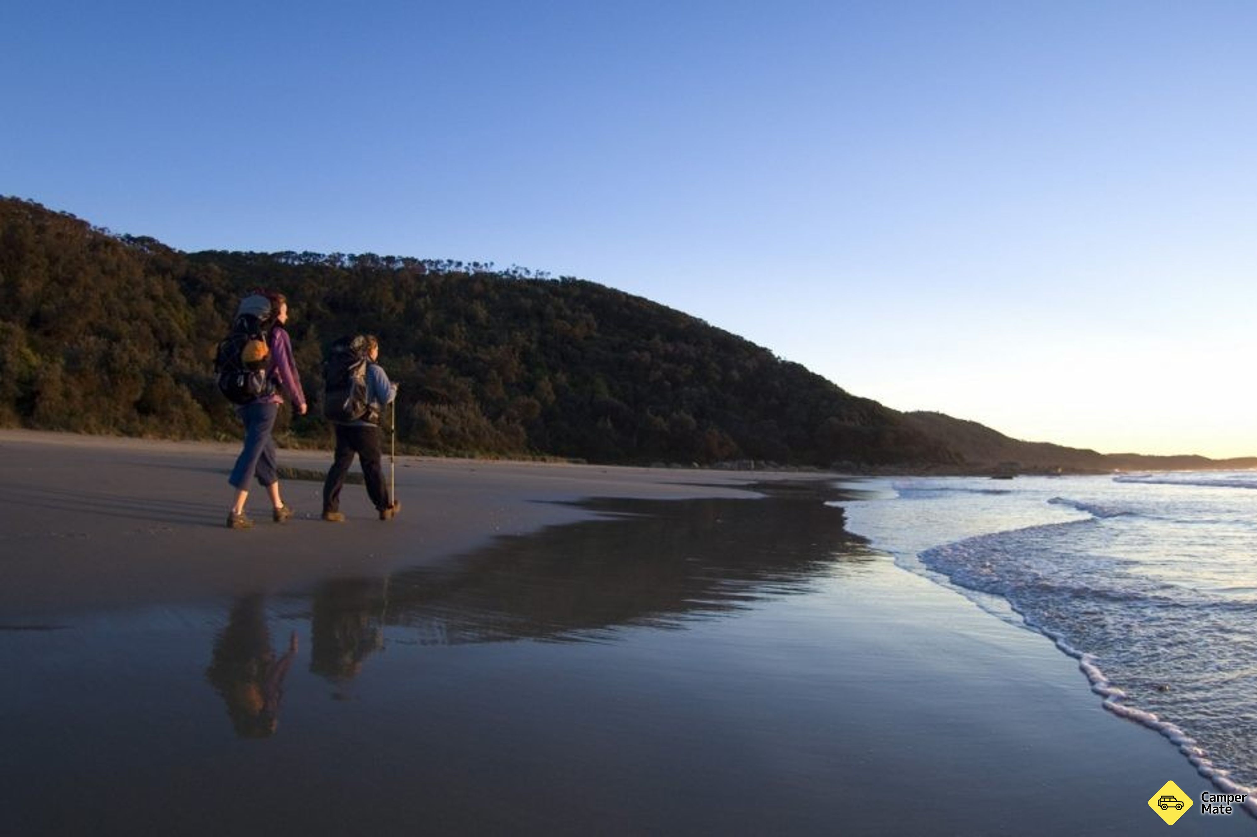 Flug Cove Walking Track