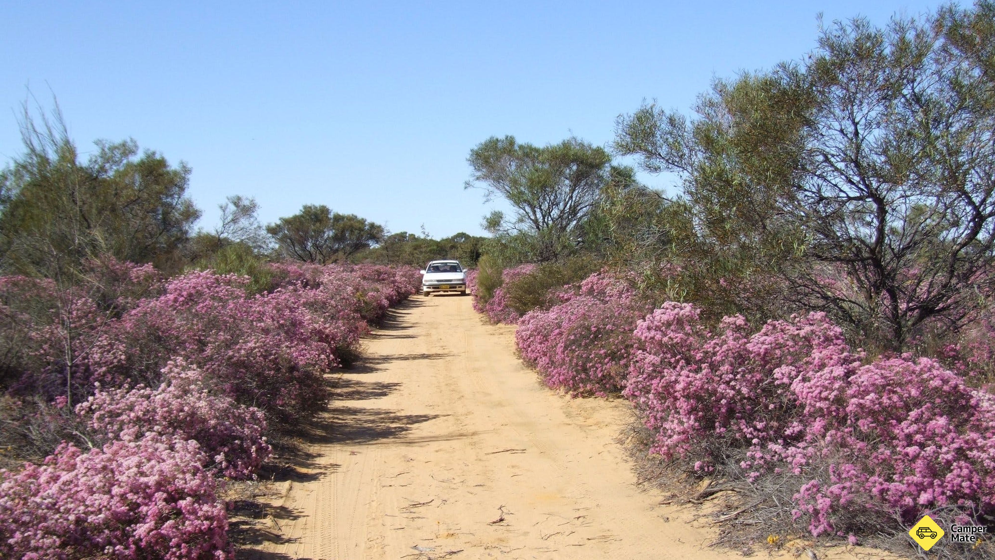 Reynoldson's Flora Reserve Walk