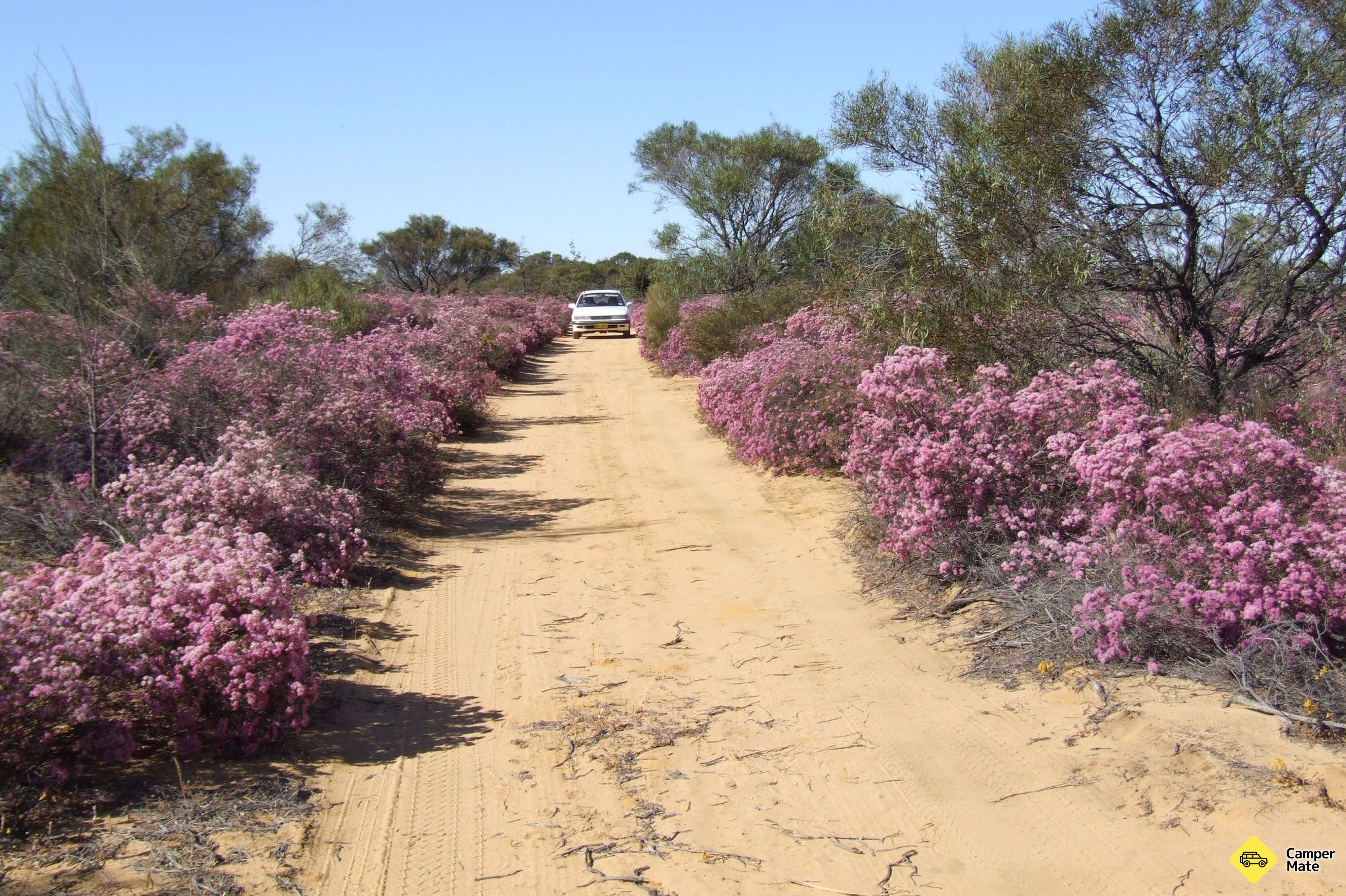 Reynoldson's Flora Reserve Walk