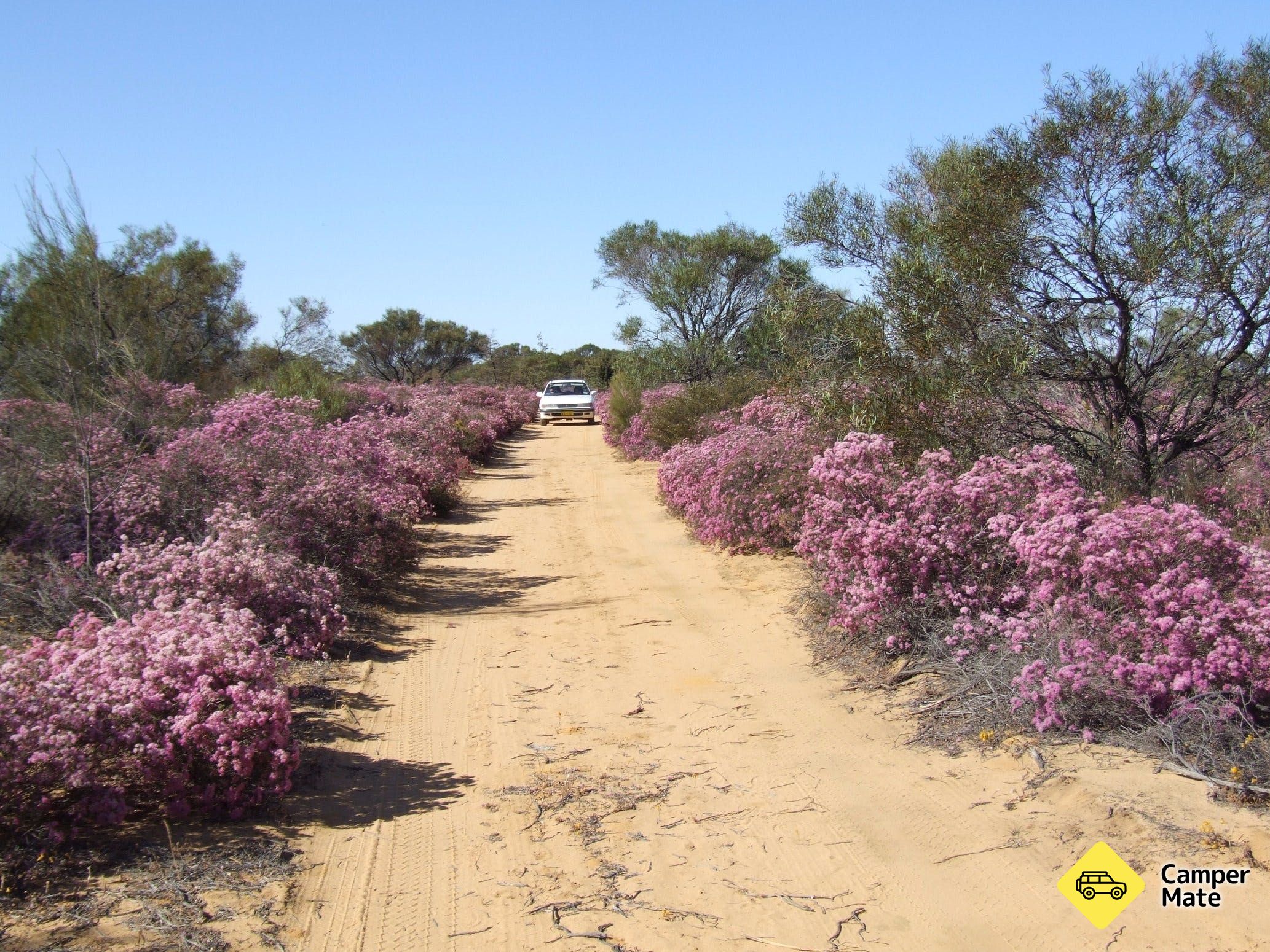 Reynoldson's Flora Reserve Walk