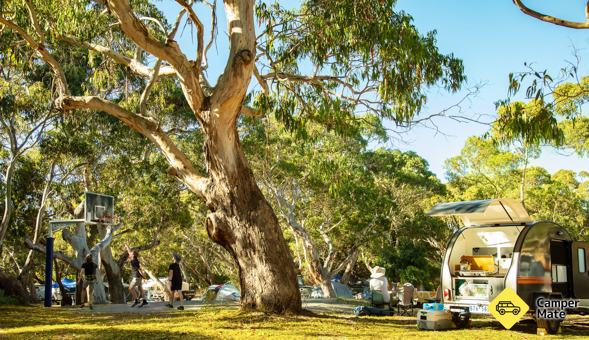 Tiện ích của Bimbi Park Camping Under Koalas - Image 3