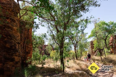 The Lost City Track