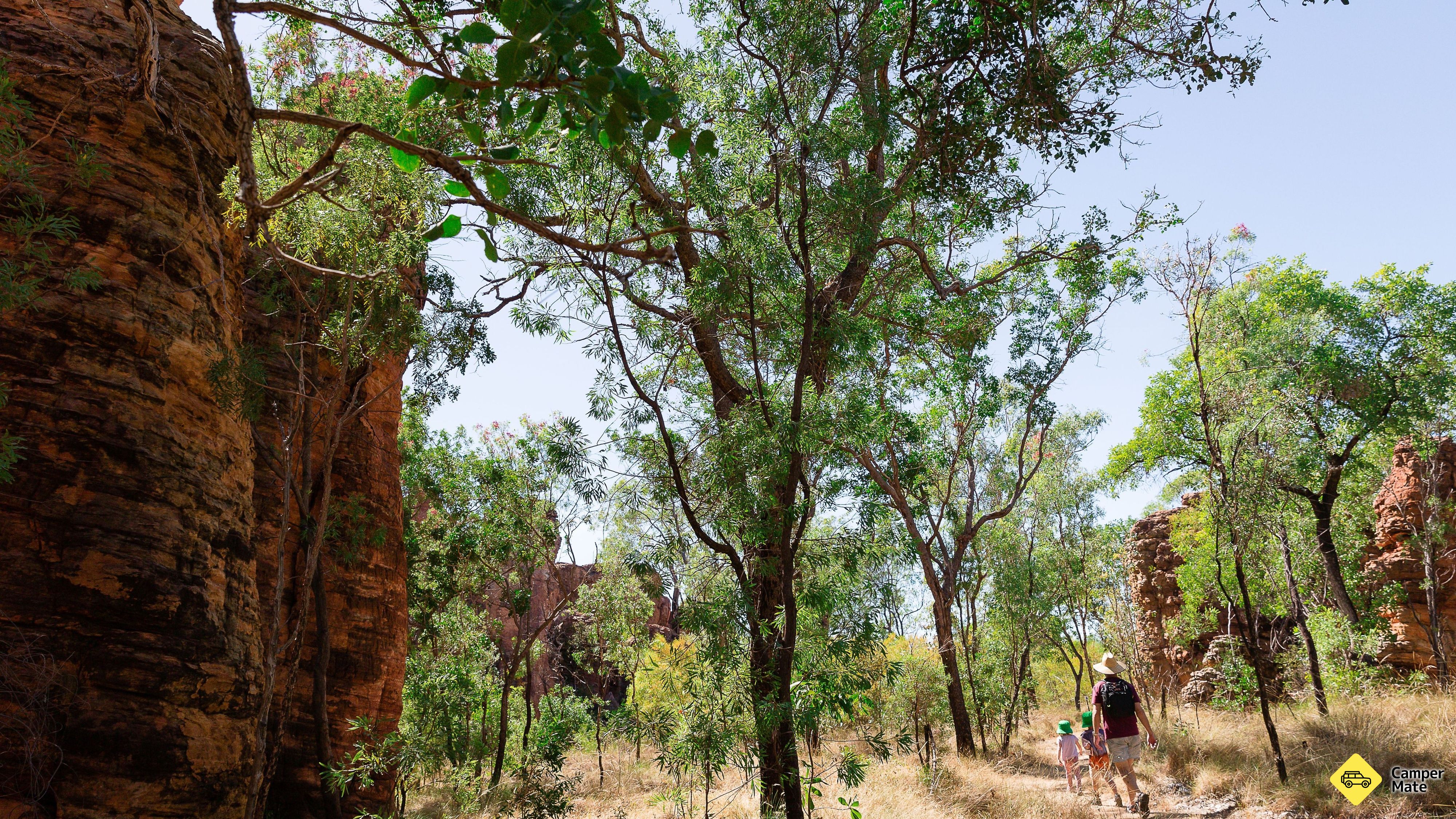 The Lost City Track