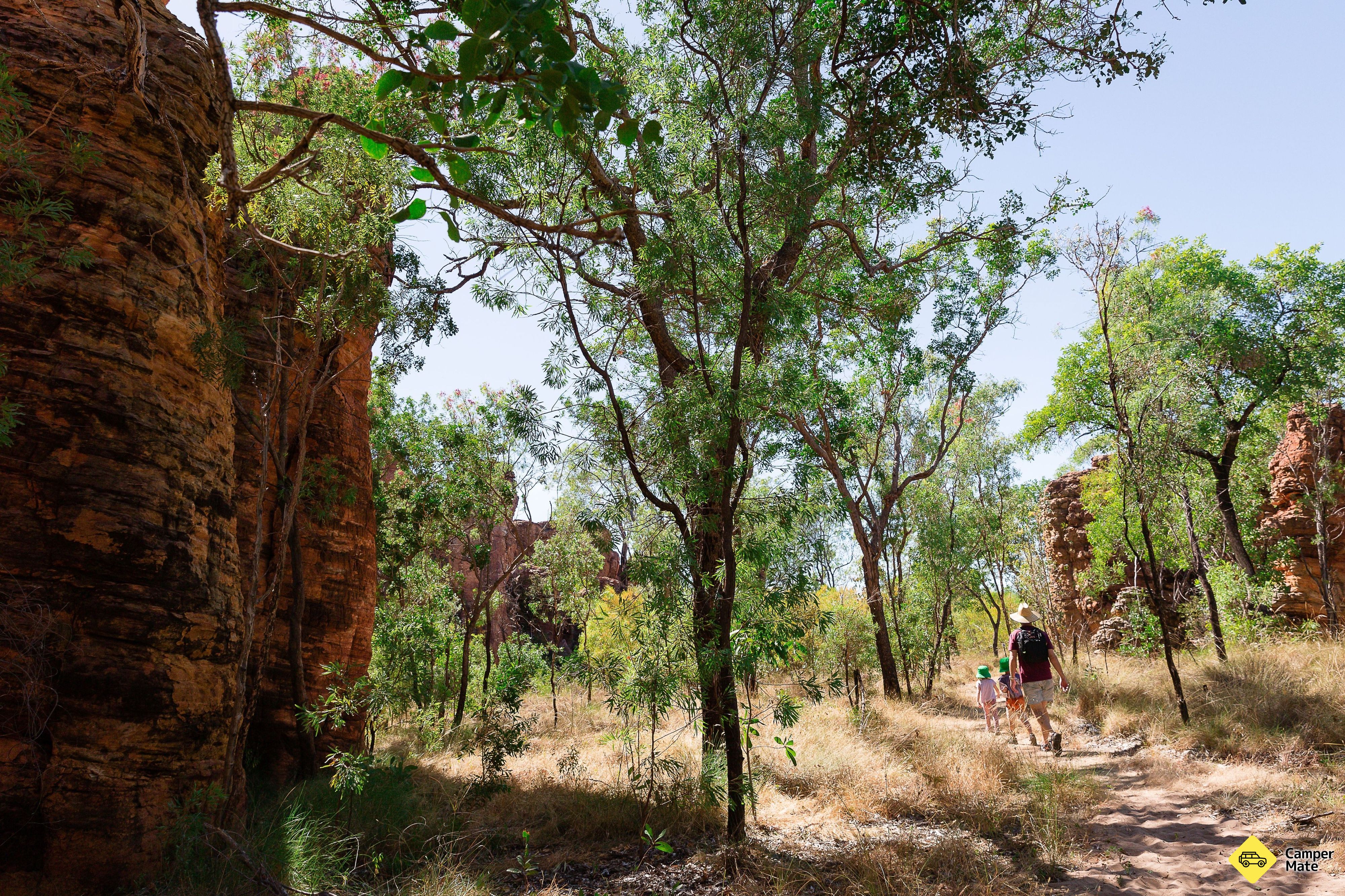 The Lost City Track