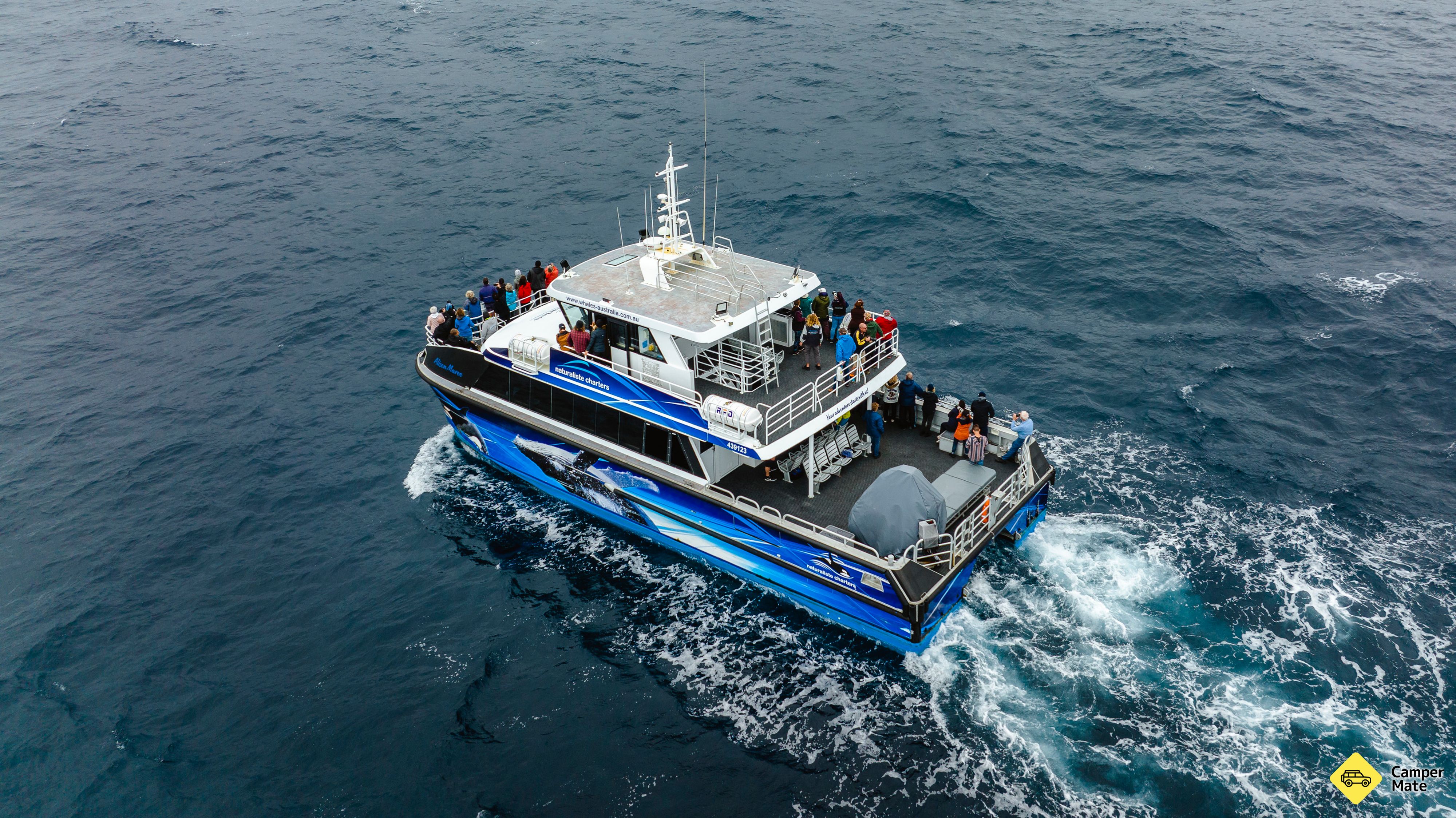 Hal yang dapat dilakukan di dekat Bremer Canyon Whale and Orca Tours