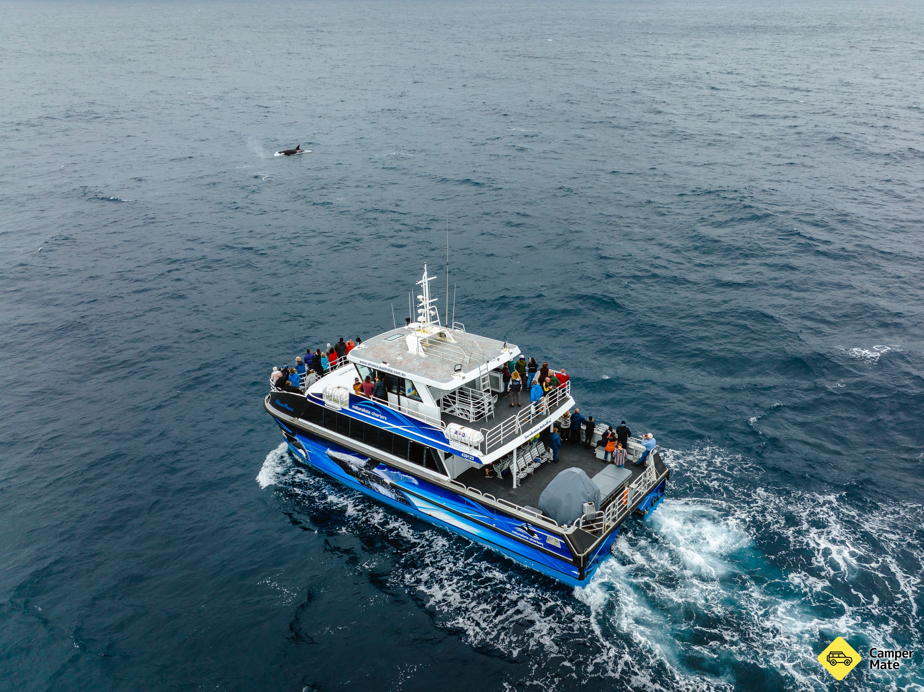 Naturaliste Charters Bremer Canyon Whale and Orca Tours