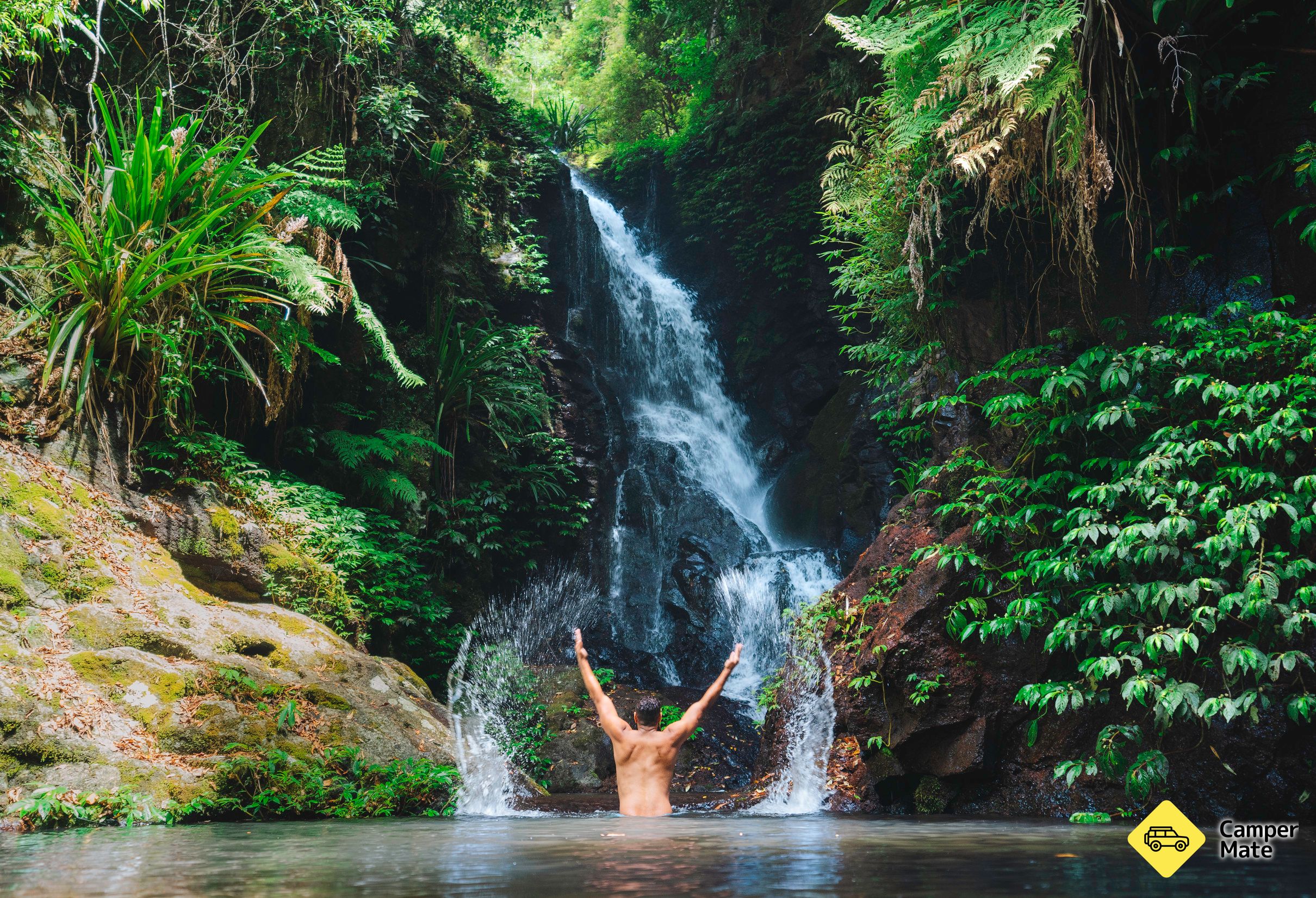 Elabana Falls Track