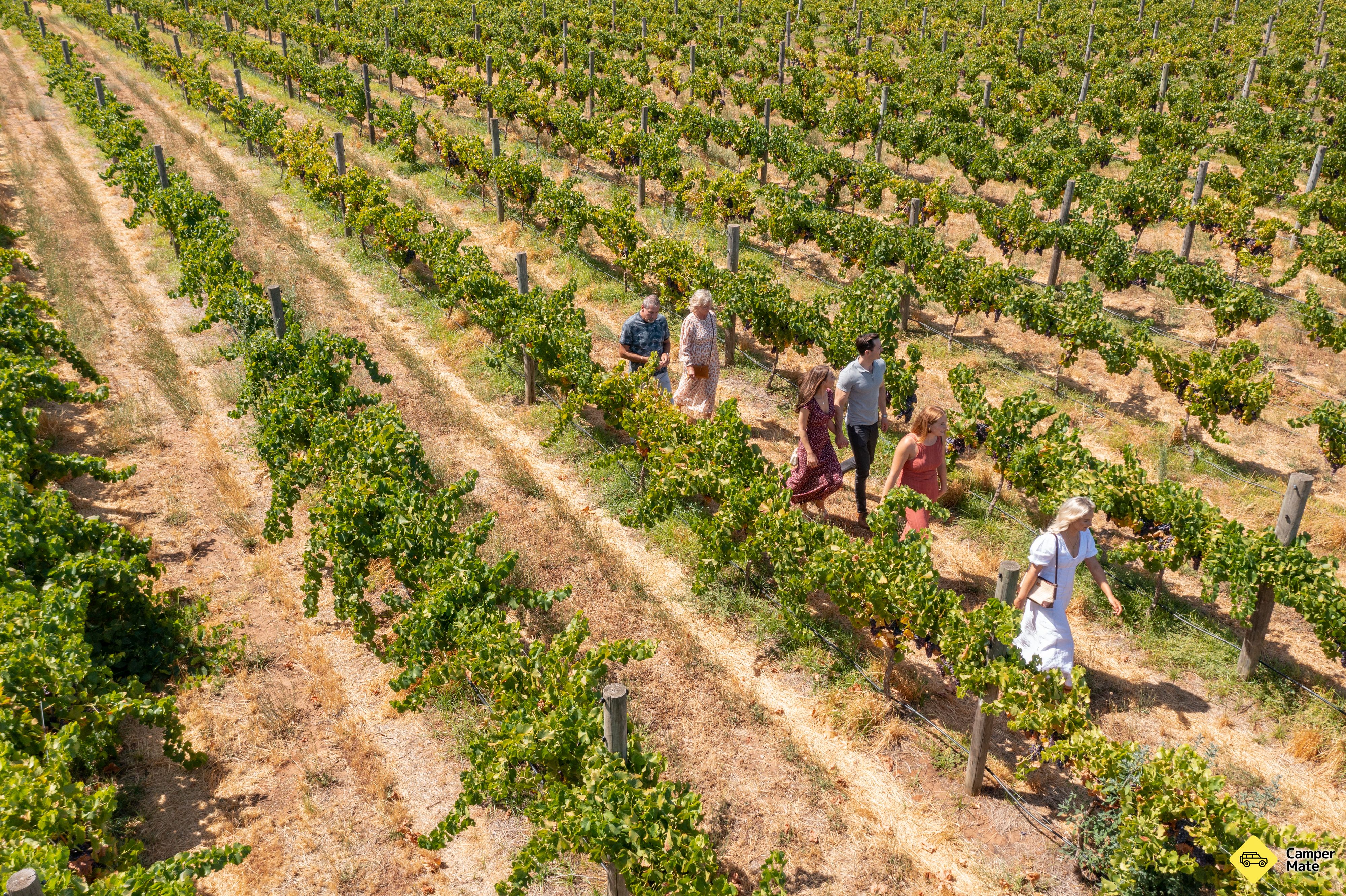 Vinos de Sandalford - Image 3
