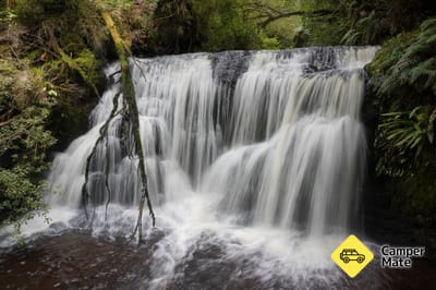 Waipohatu Waterfall Trails