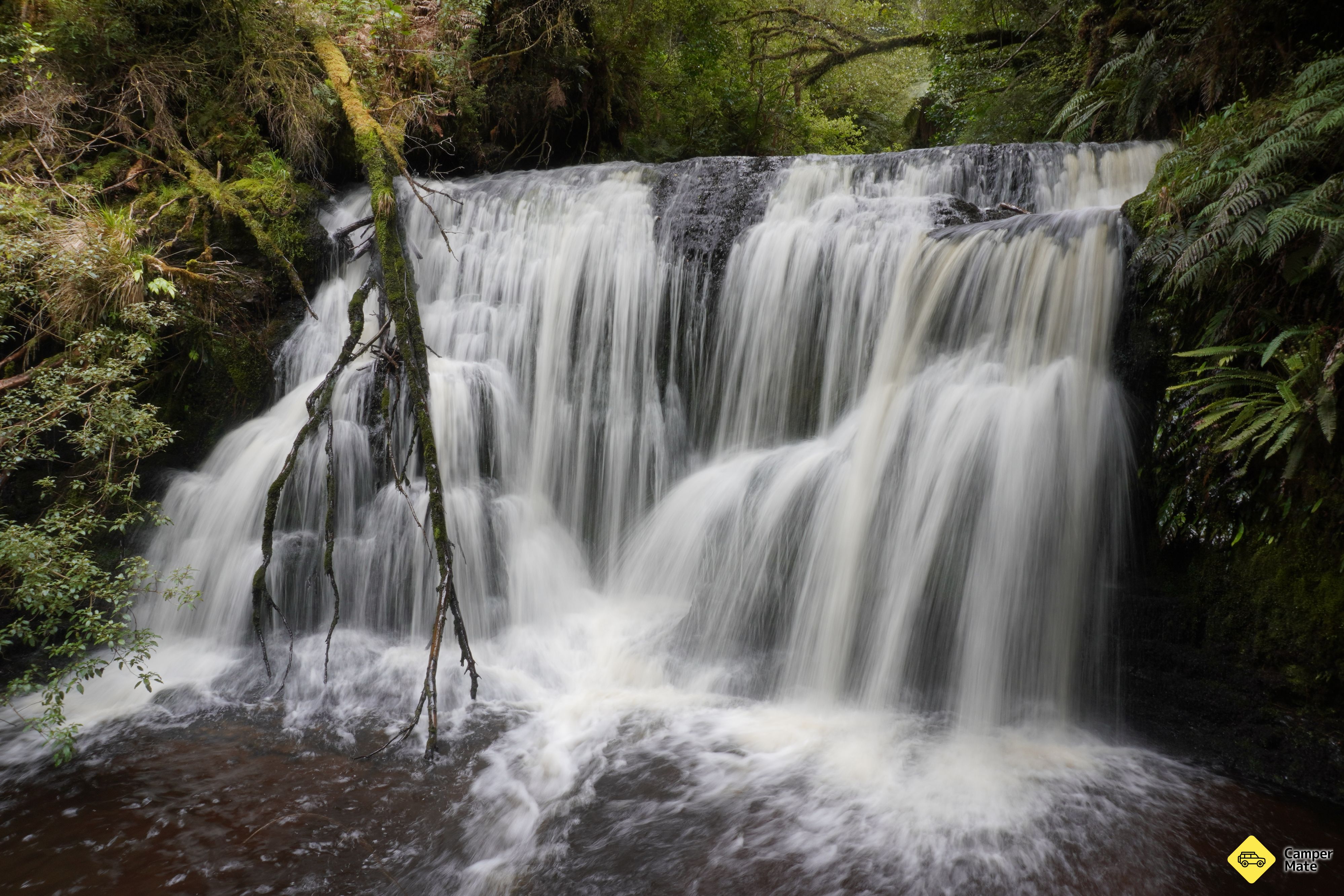 Waipohatu Waterfall Trails