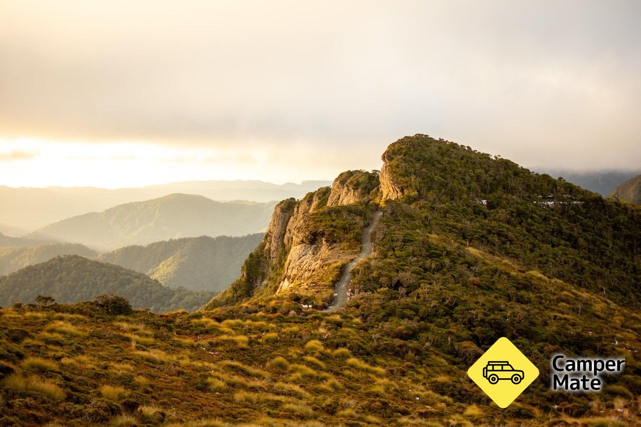 Paparoa Track