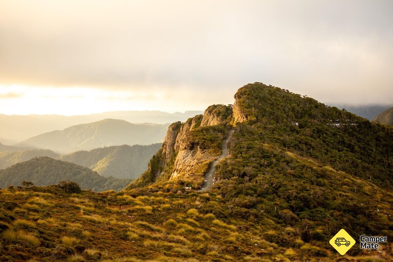 Paparoa Track