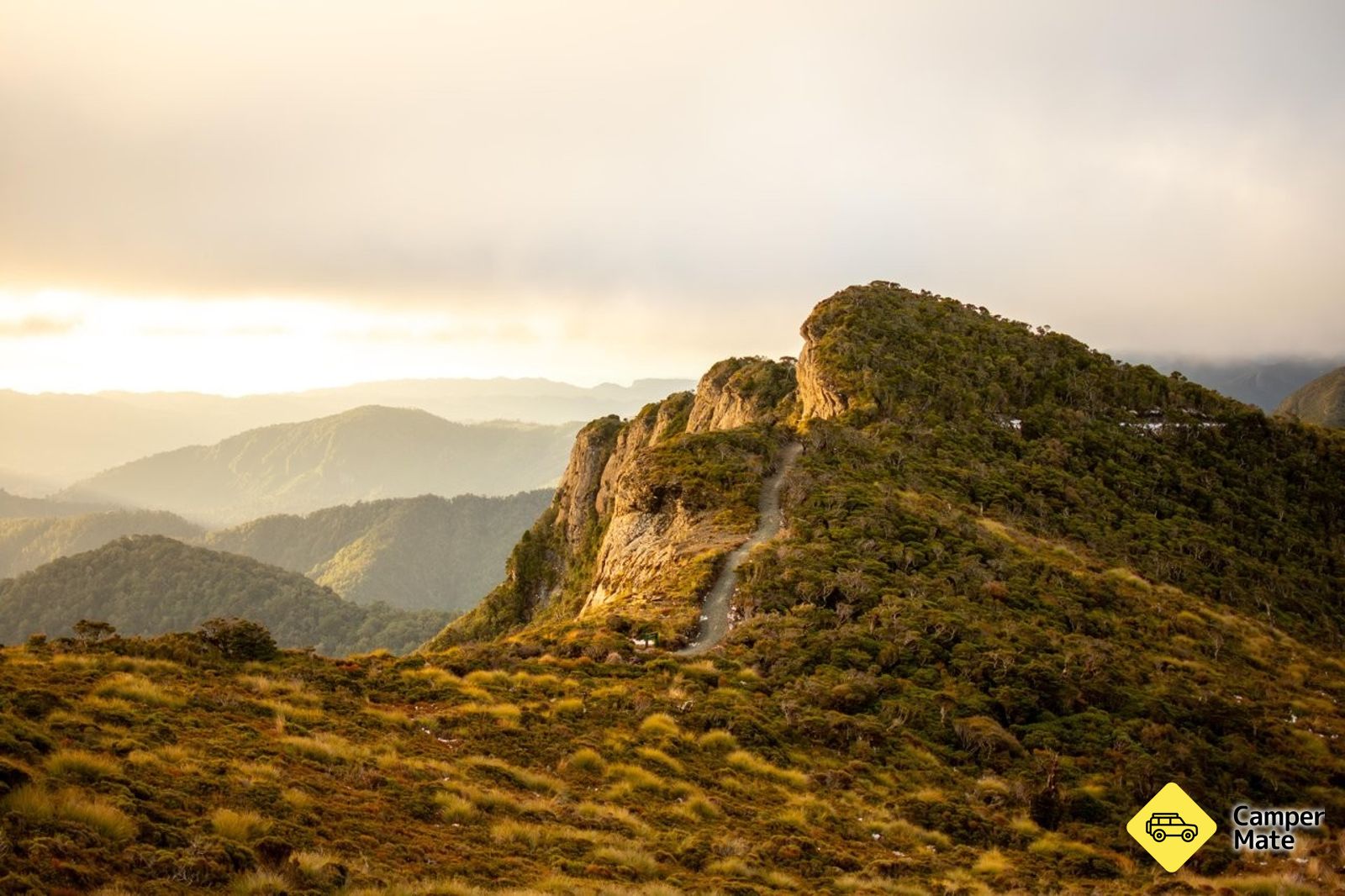 Paparoa Track
