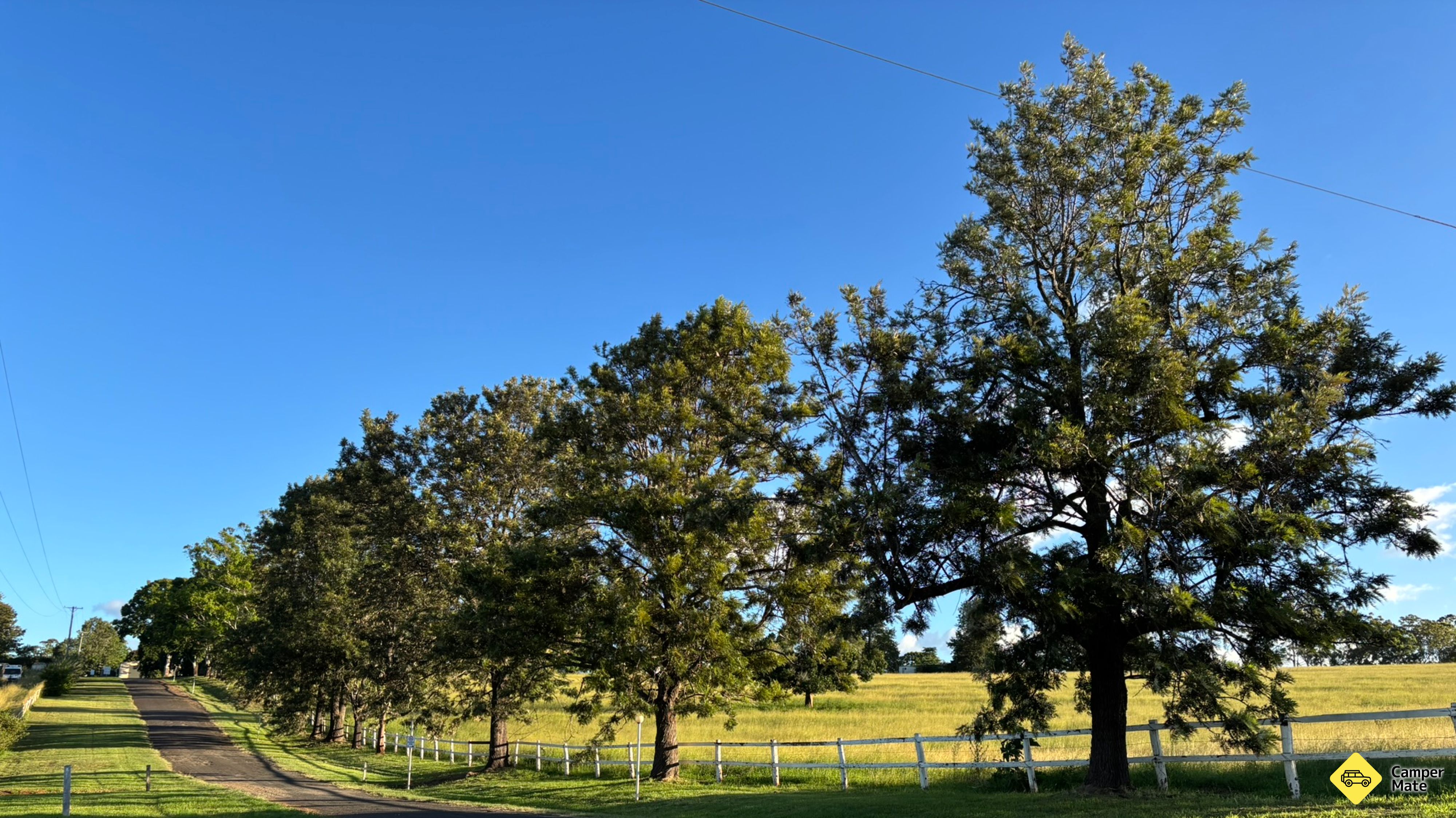 Aktivitäten in der Nähe von Yarraman Caravan Park & Cabins