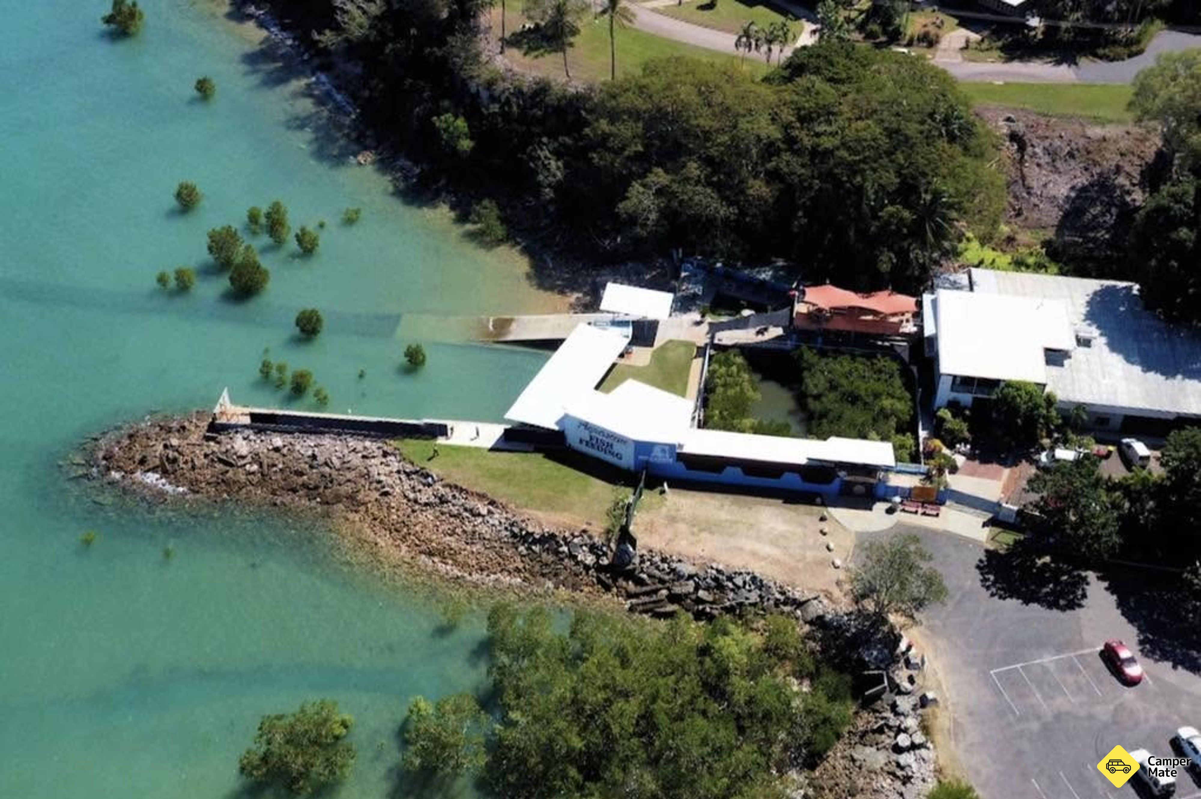Wild Fish Feeding Sanctuary and Experience