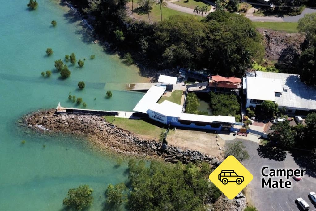 Wild Fish Feeding Sanctuary and Experience