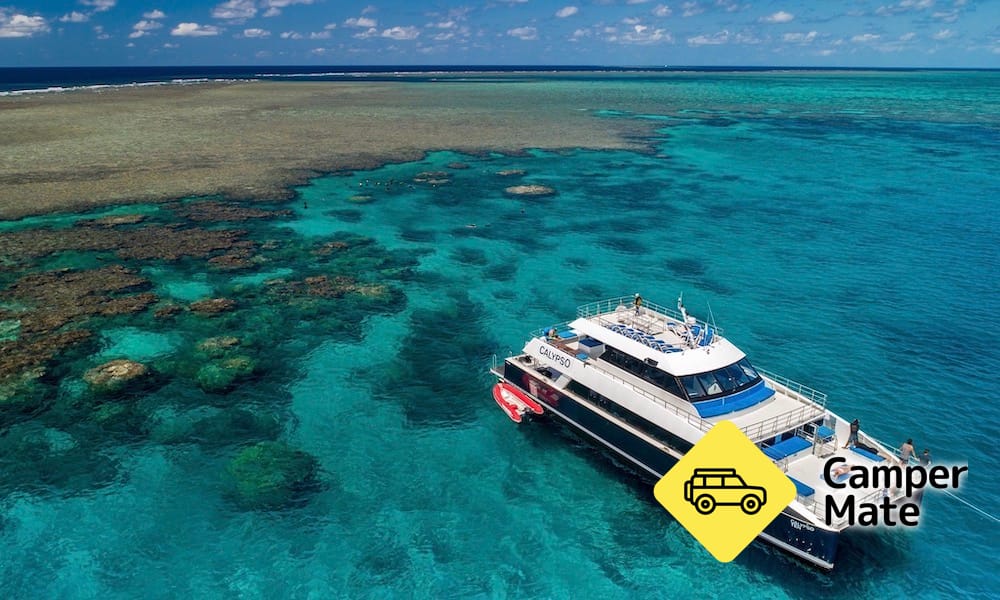 Great Barrier Reef Snorkel and Dive Cruise - Image 3