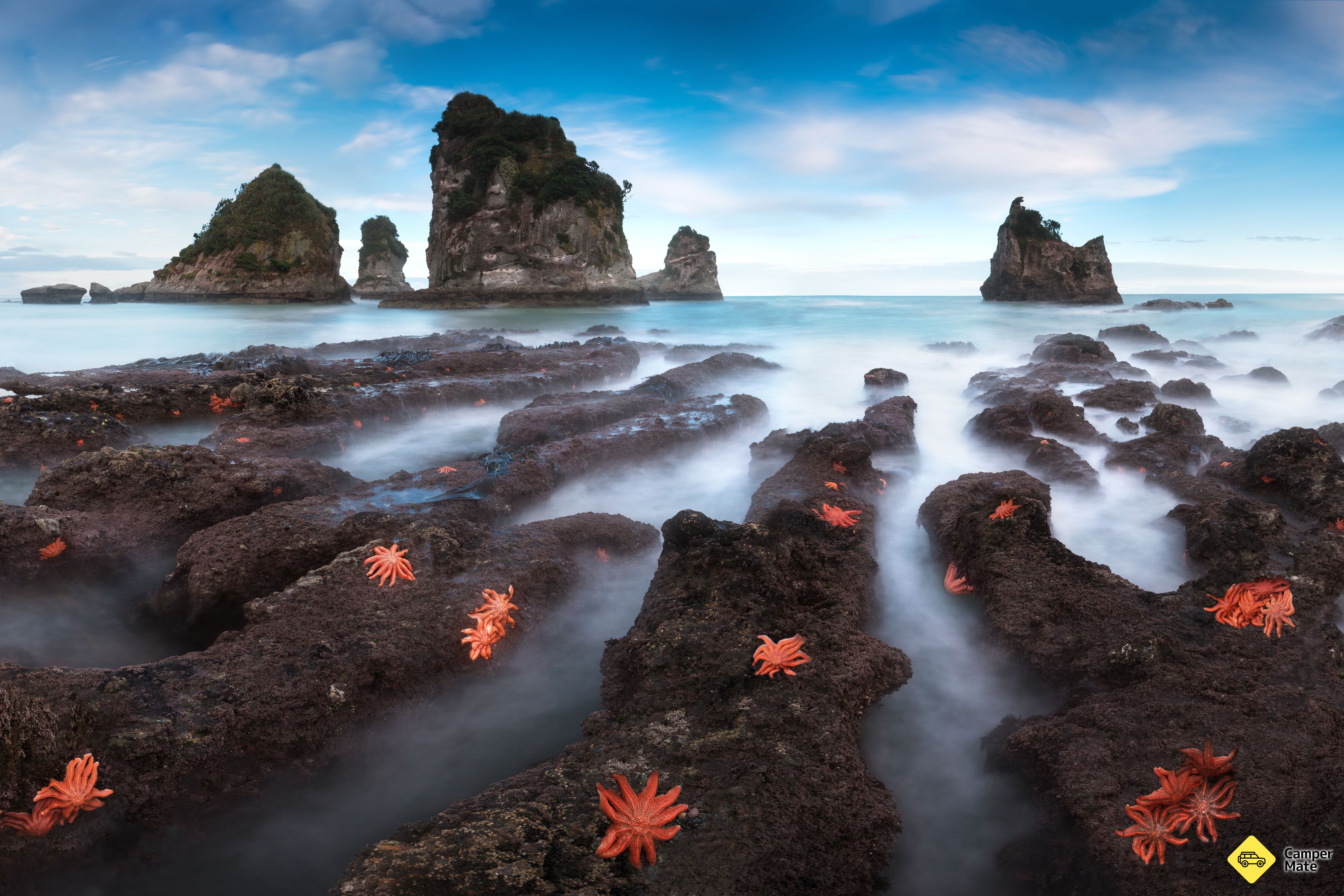 Motukiekie Beach Walk - Image 3