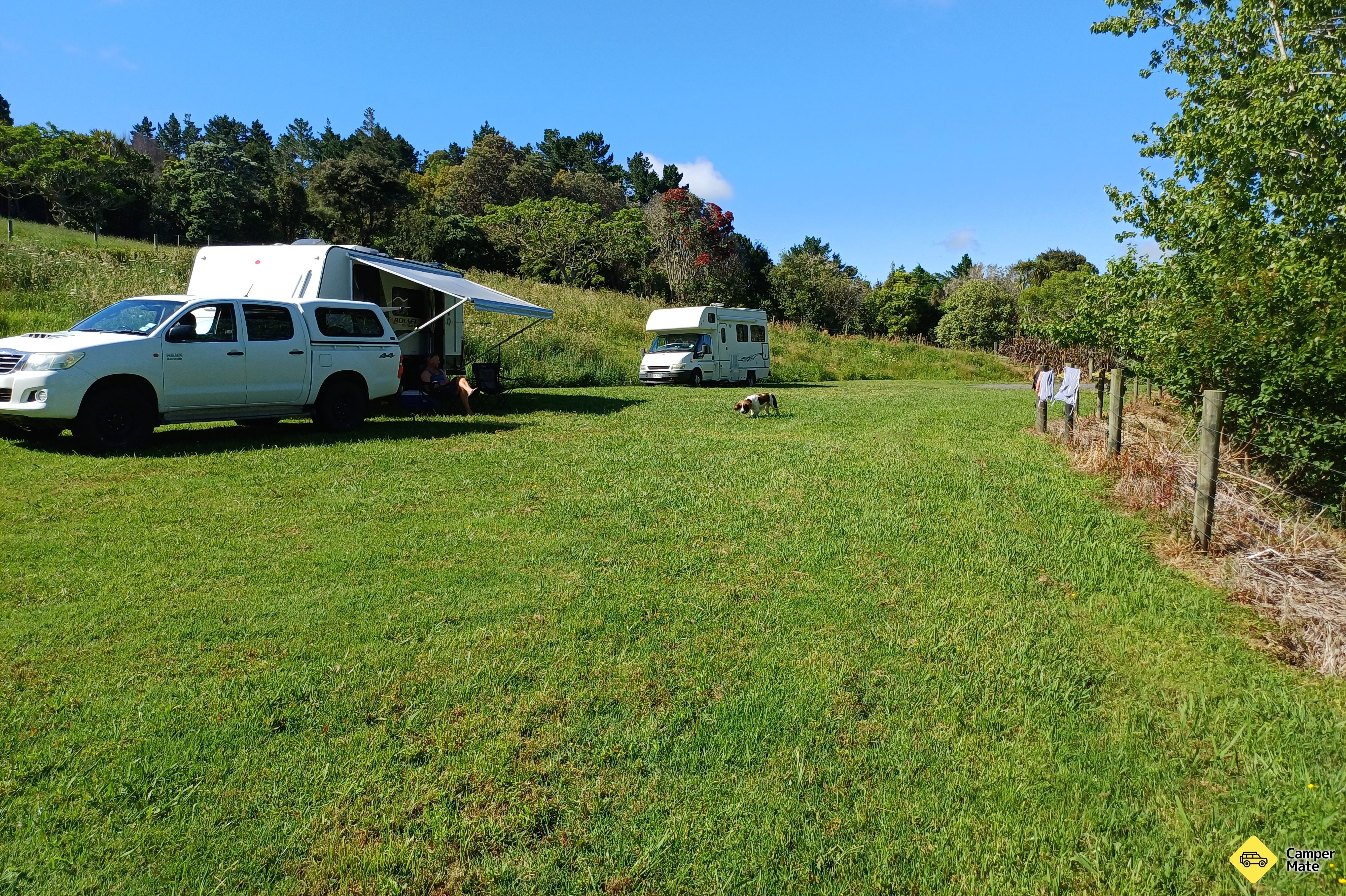 حديقة Kaipara و حديقة النخيل - Image 3