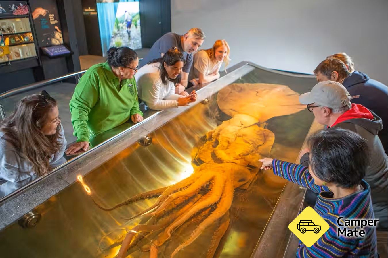 Museum of New Zealand Te Papa Tongarewa - Image 2