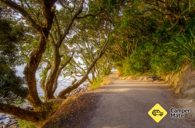 Mount Maunganui Base Track