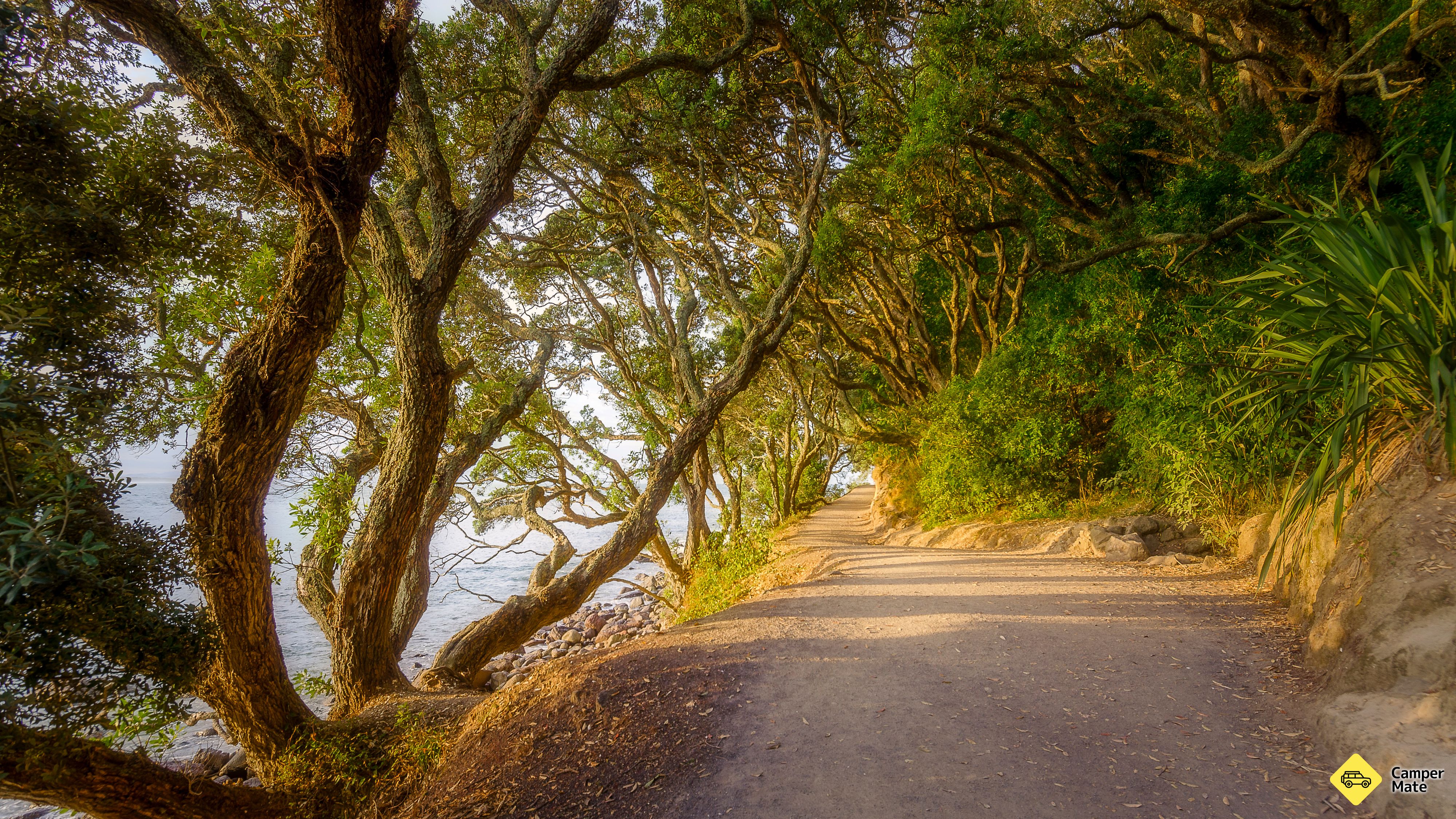 Ścieżka bazowa Mount Maunganui
