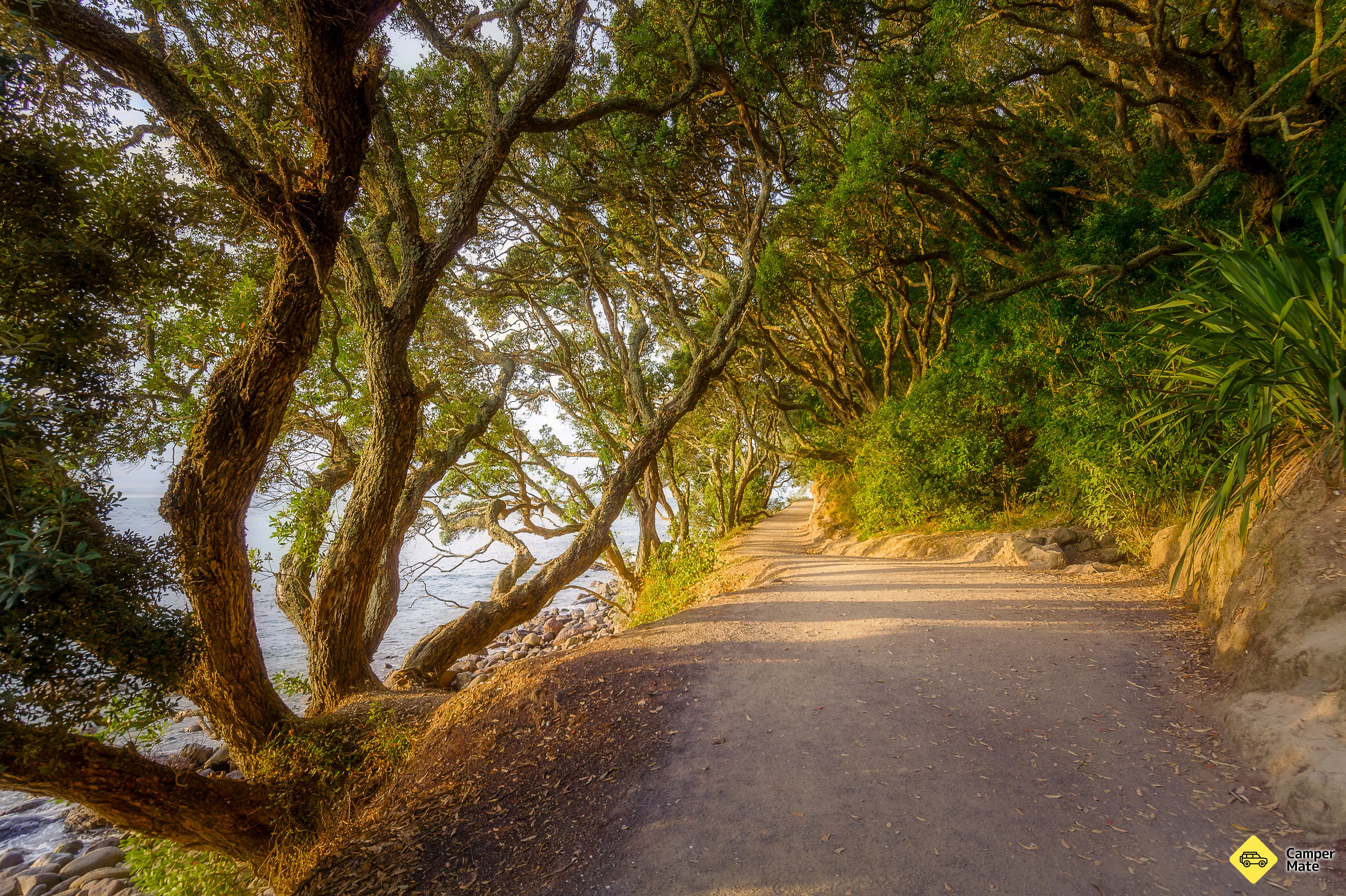 Ścieżka bazowa Mount Maunganui