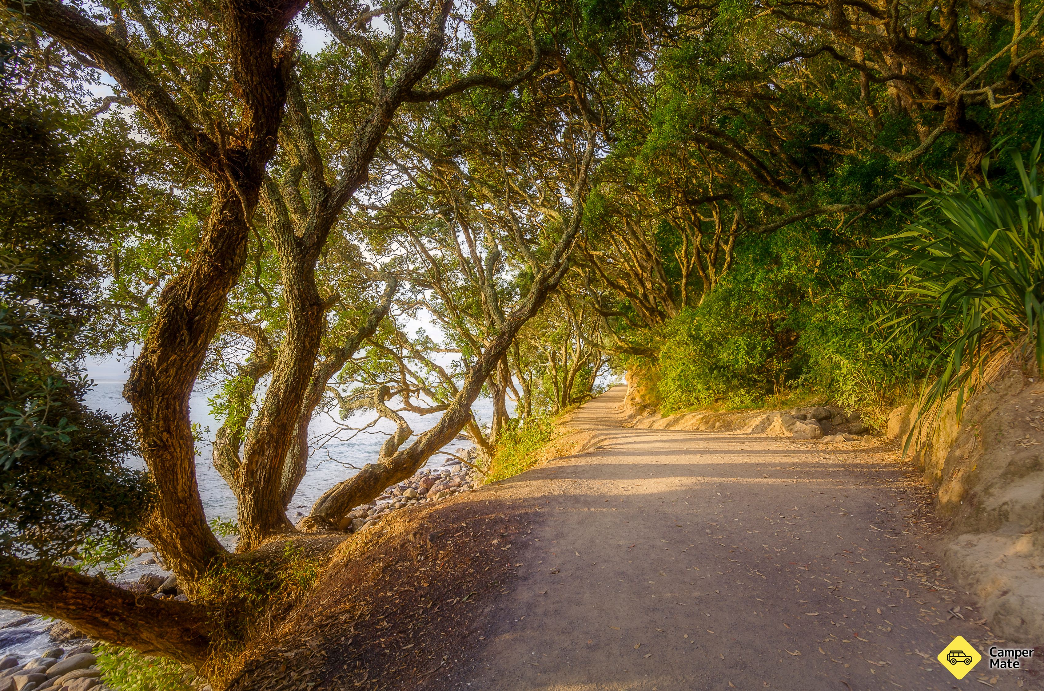 Mount Maunganui Base Track