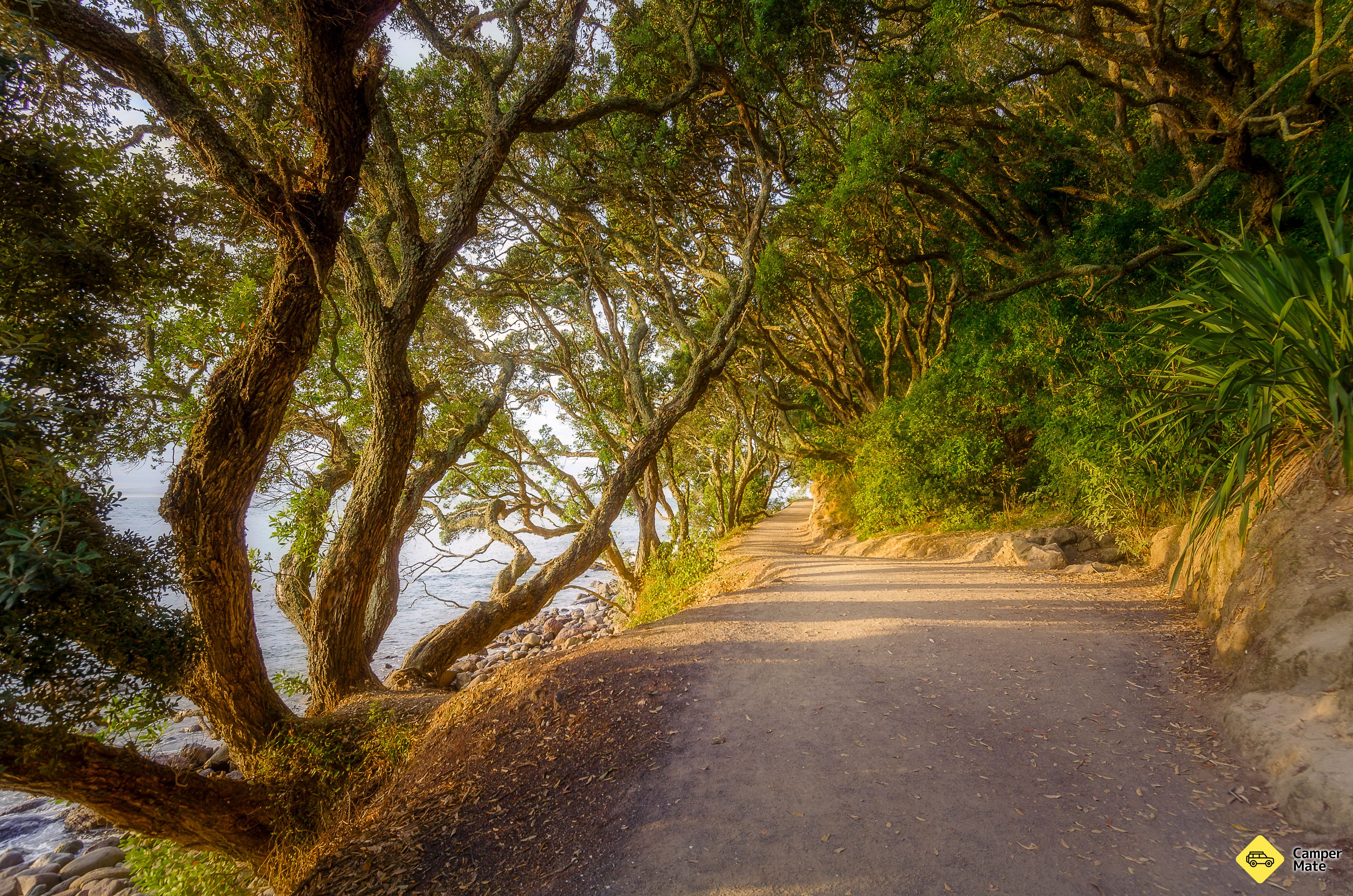 Mount Maunganui Base Track