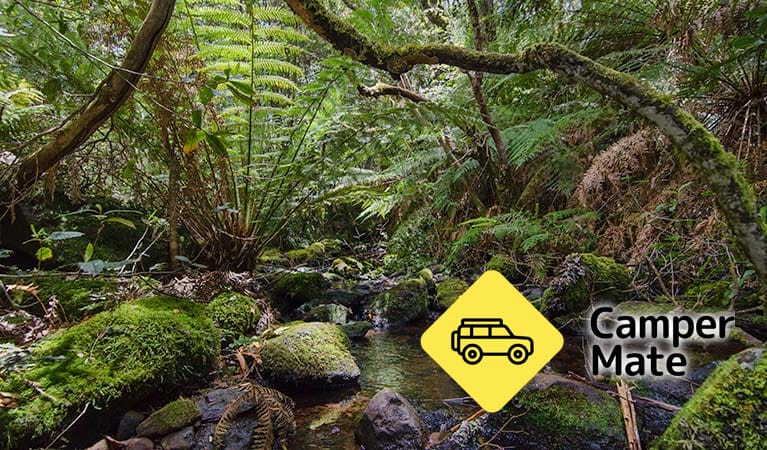 Wombat Creek Campground - Image 2