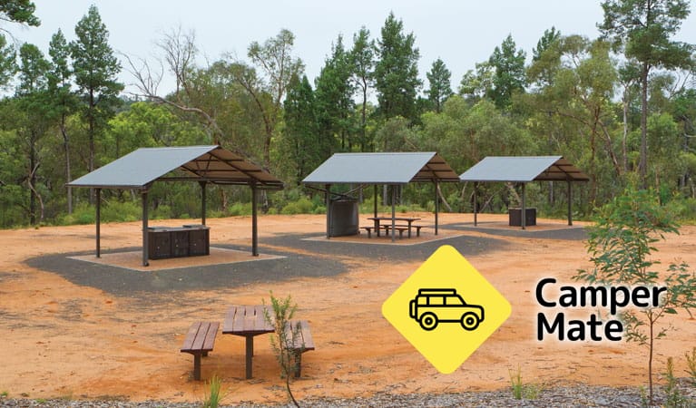 Sculptures In The Scrub Campground