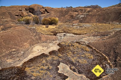The Kalari Trail