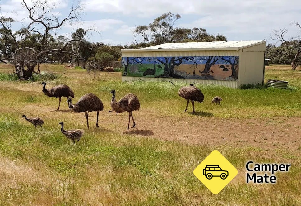 HJ & Brian Cook Native Animal Reserve