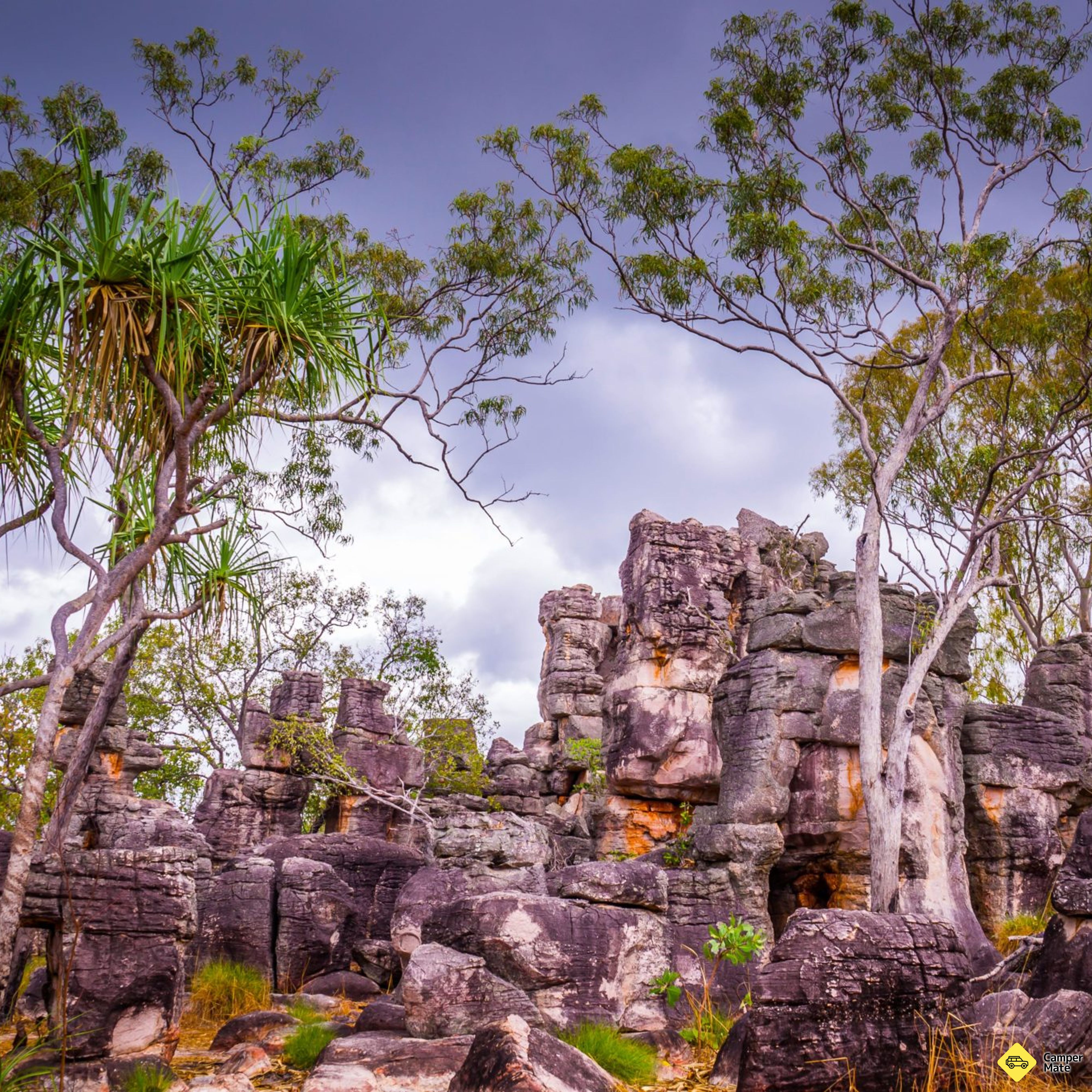 The Lost City Track - Image 2
