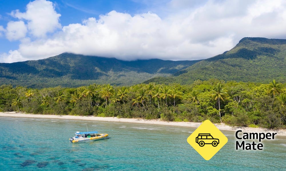Great Barrier Reef Snorkel Trip from Cape Tribulation(ケープ・トリビュレーション) - Image 3