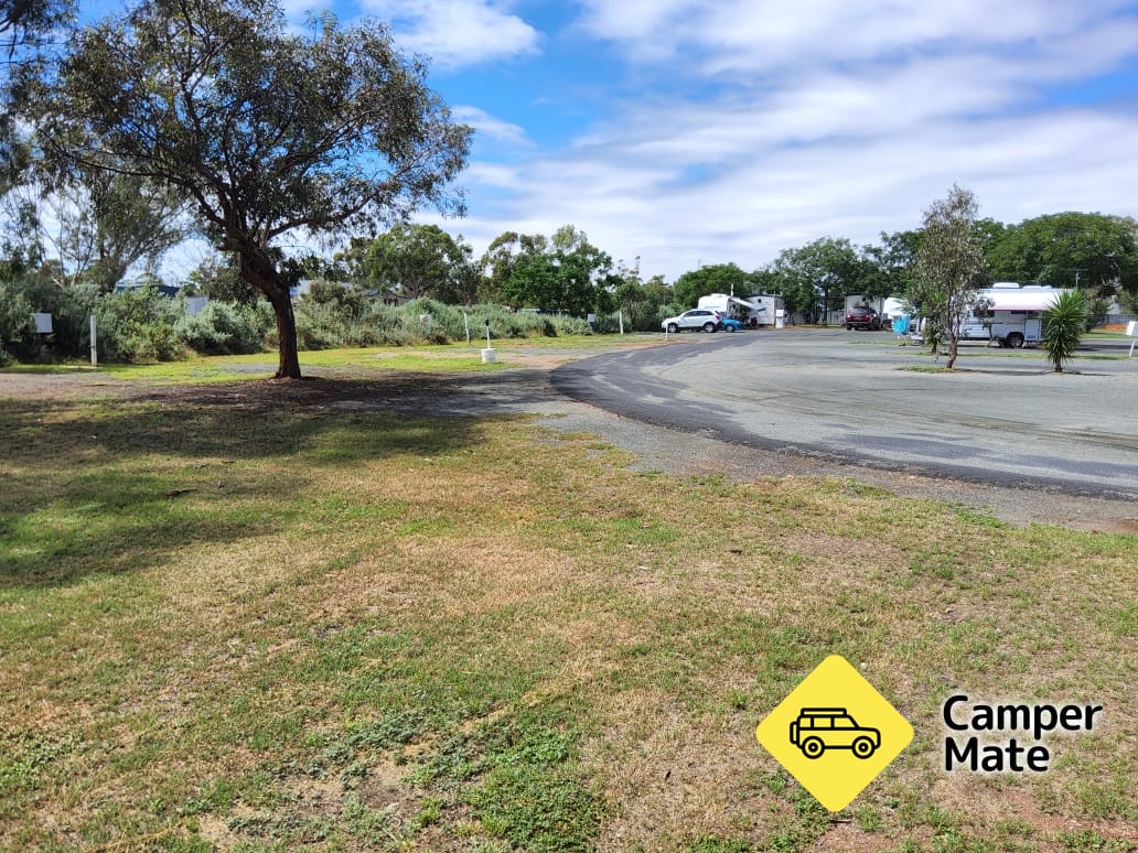 CMCA Nyngan van Park