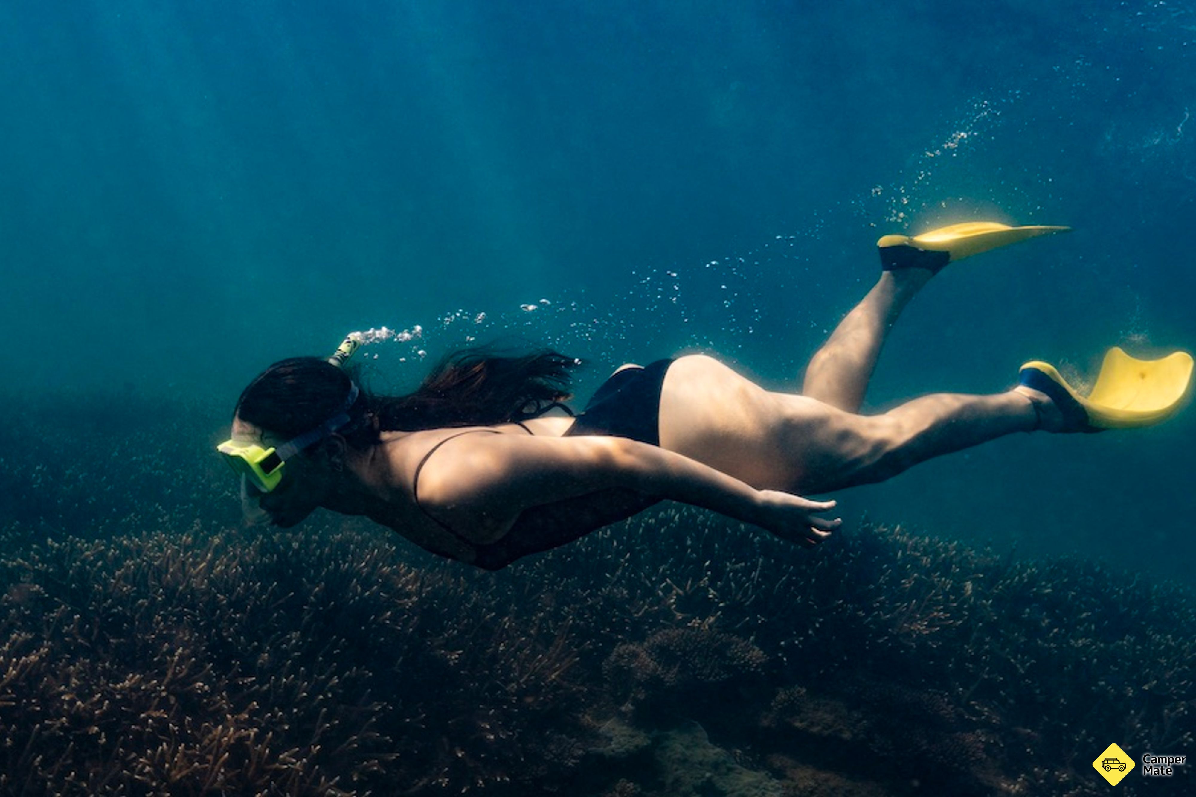 Restauranter i nærheten av Great Keppel Snorkel & Boomnet Tour - Image 2