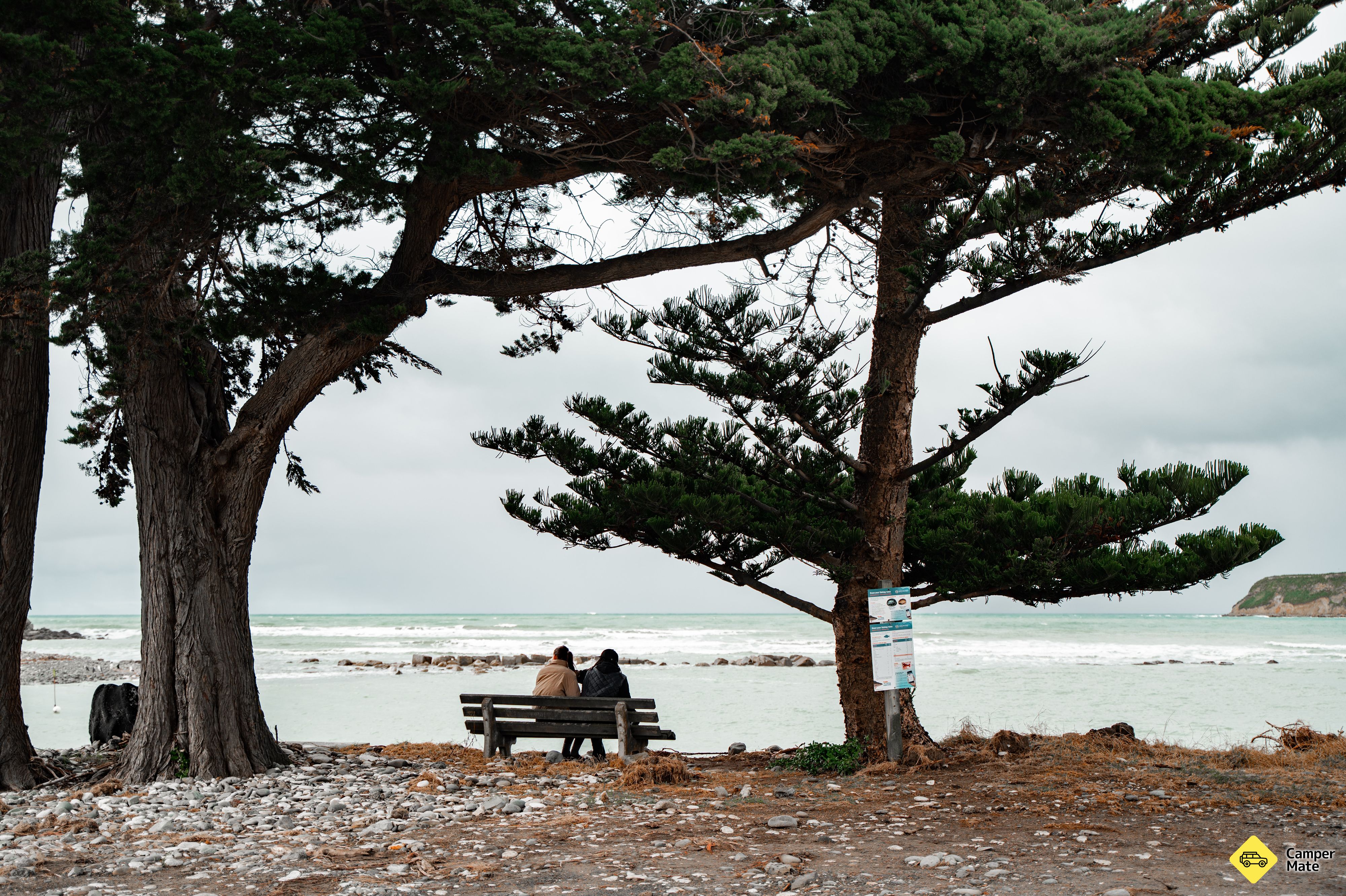 Motunau Beach - Image 2