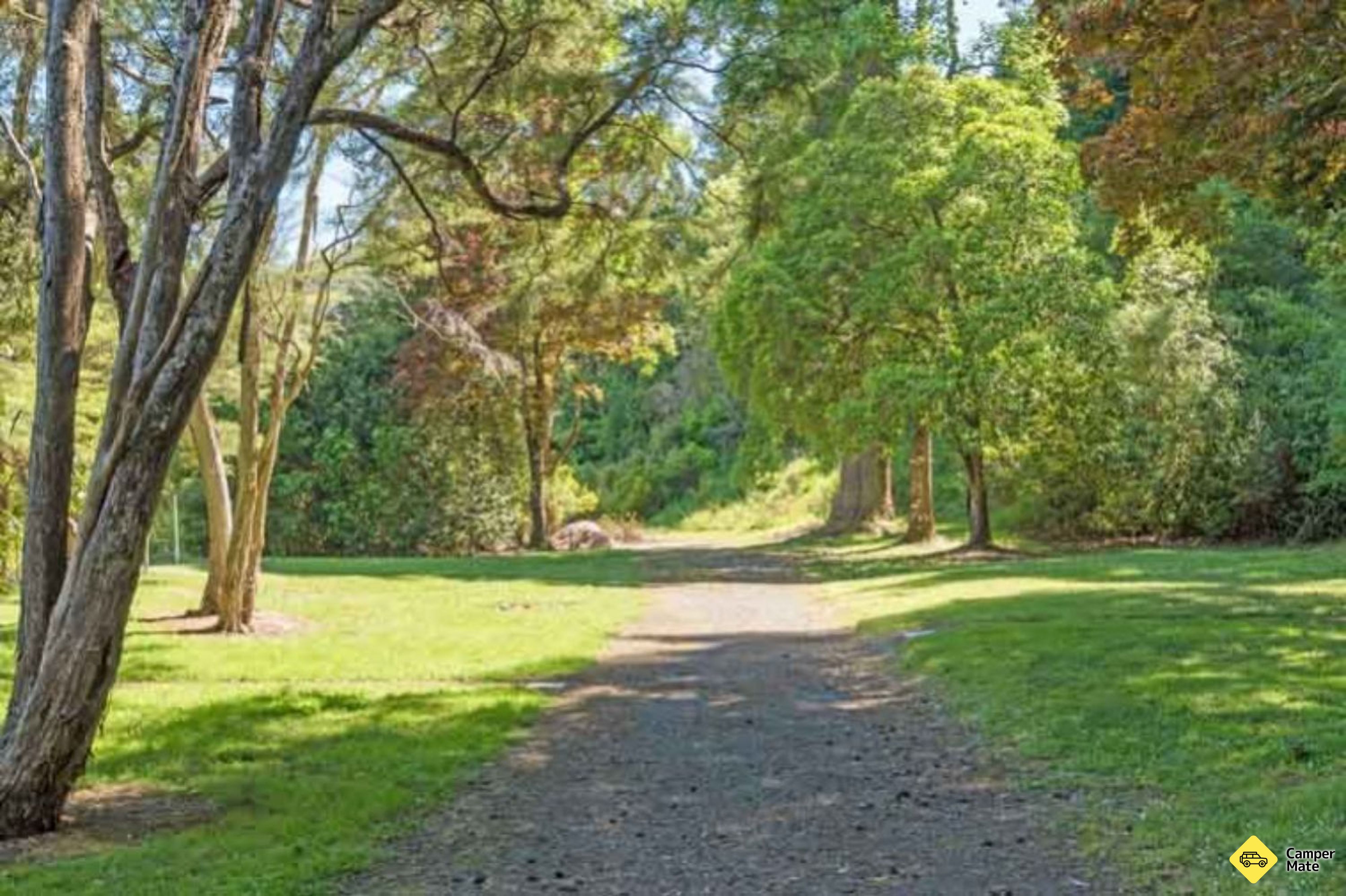 Brook Valley Holiday Reserve - Image 2