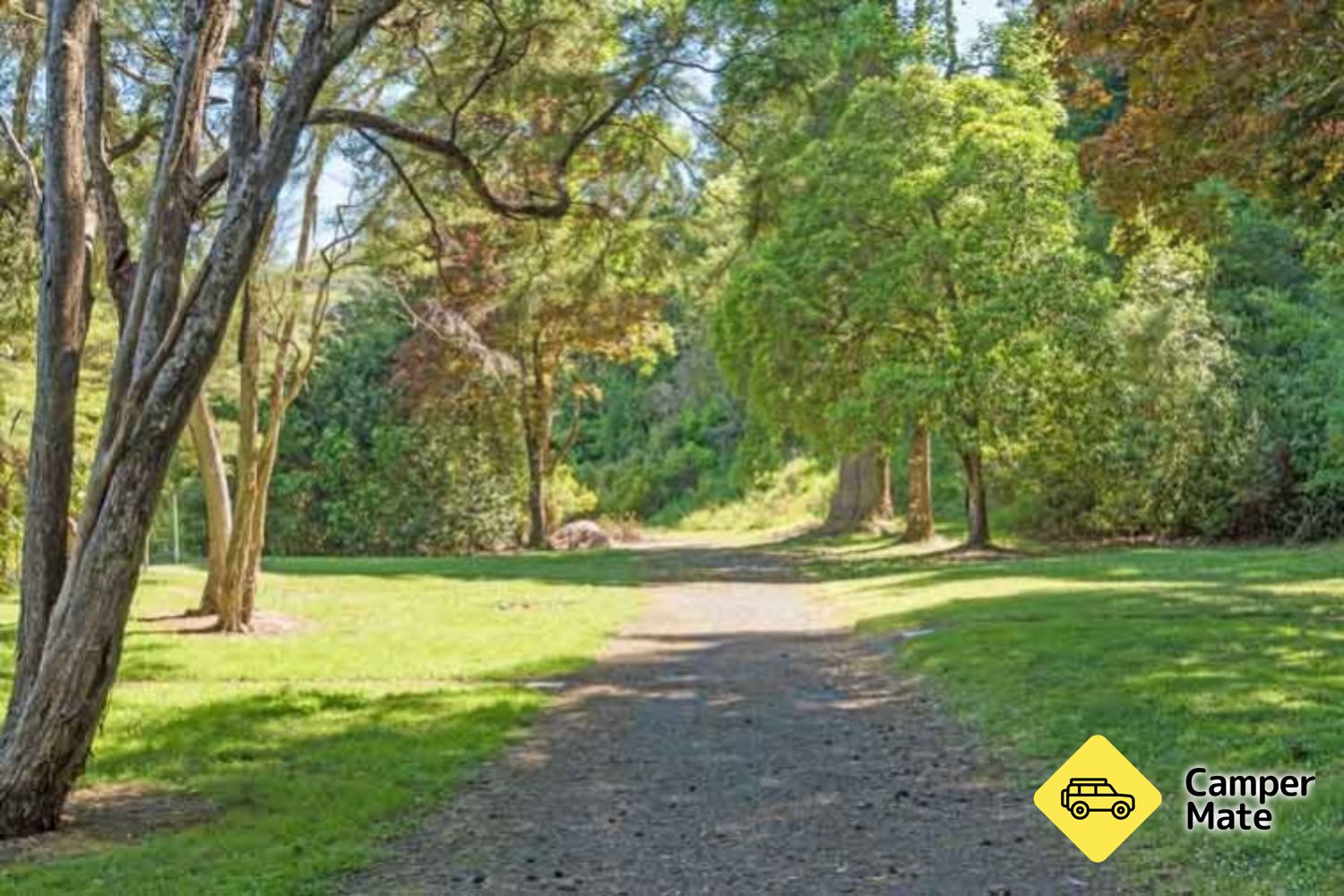 Brook Valley Holiday Reserve - Image 2