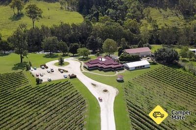 O'Reilly's Canungra Valley Vineyard