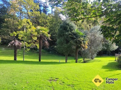 Dickson Holiday Park के बारे में राय
