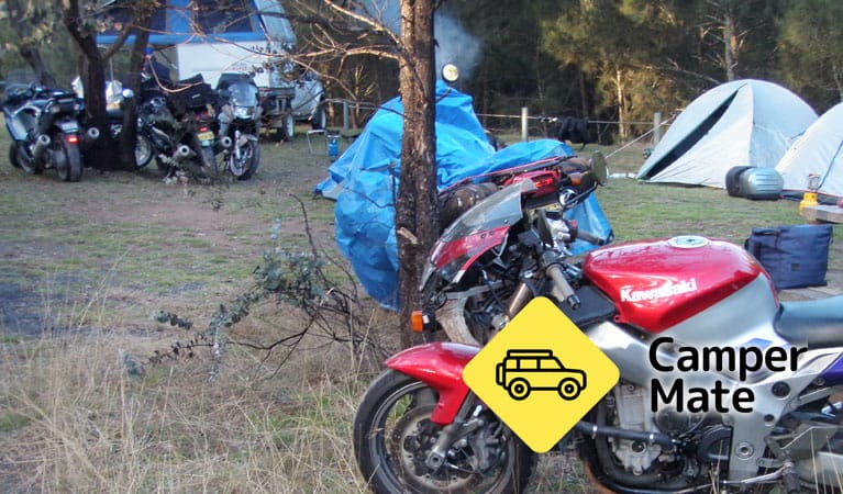 Știri despre Bummaroo Ford Campground