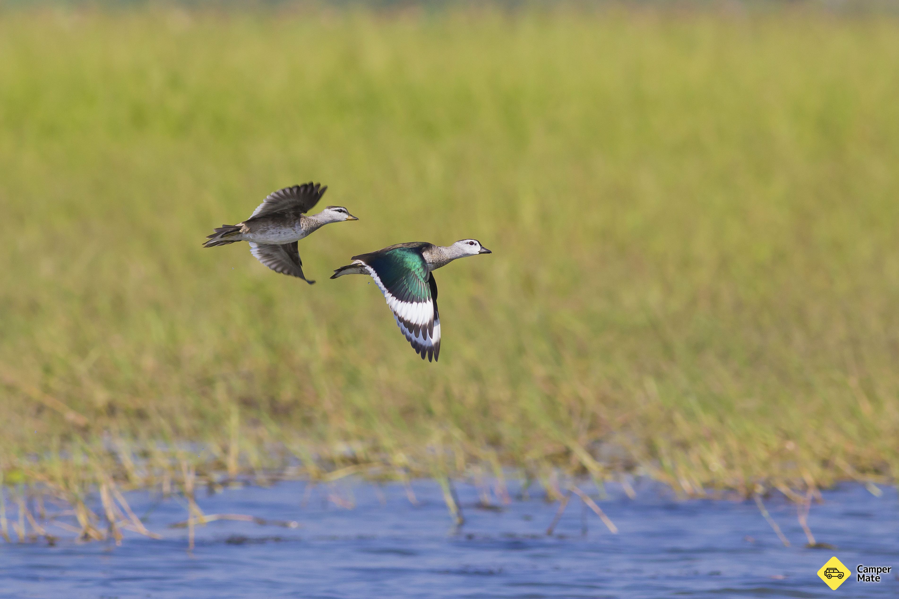 Fearnley Bird Hide - Image 3