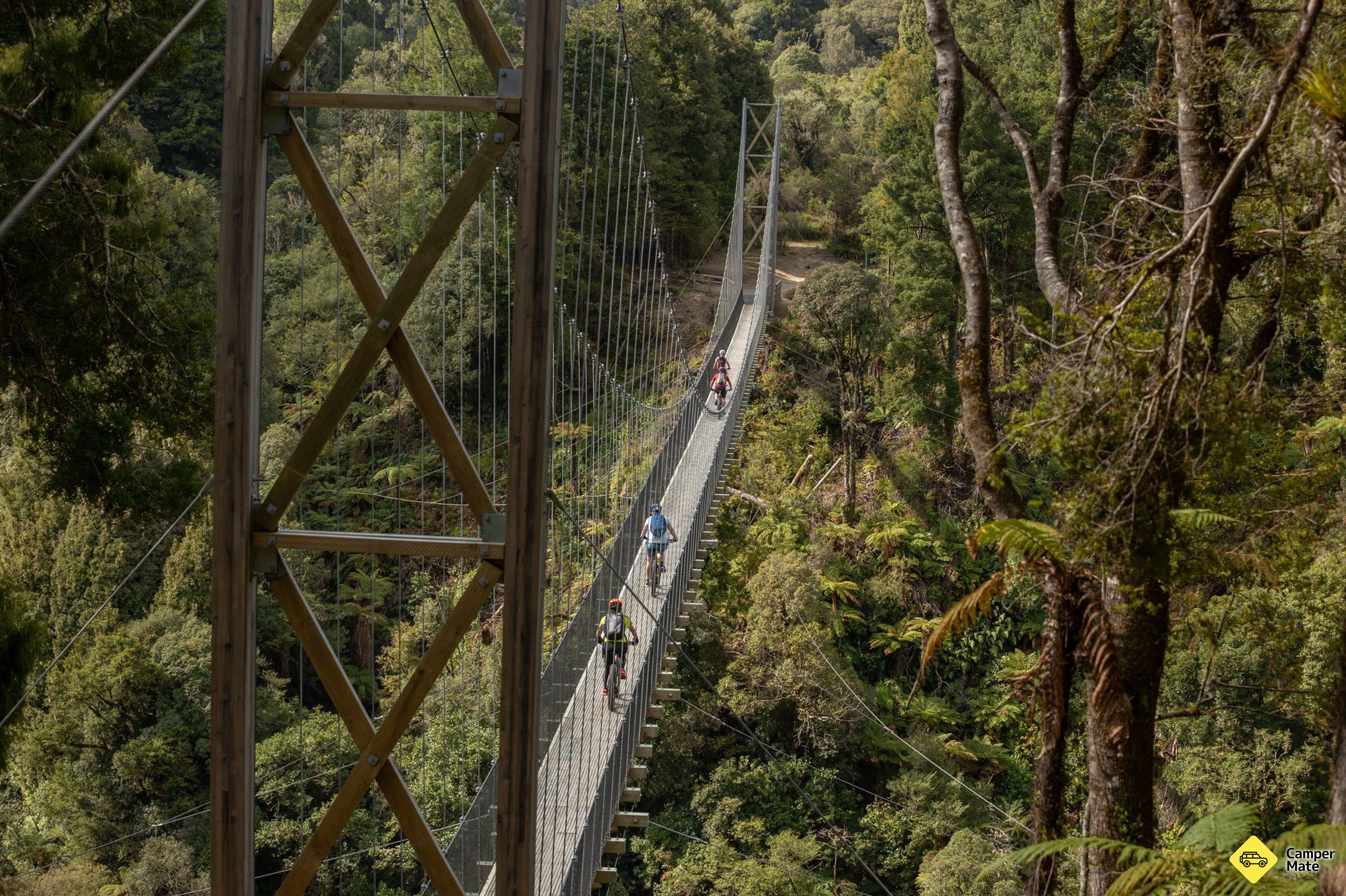 Timber Trail Cycling - Image 3