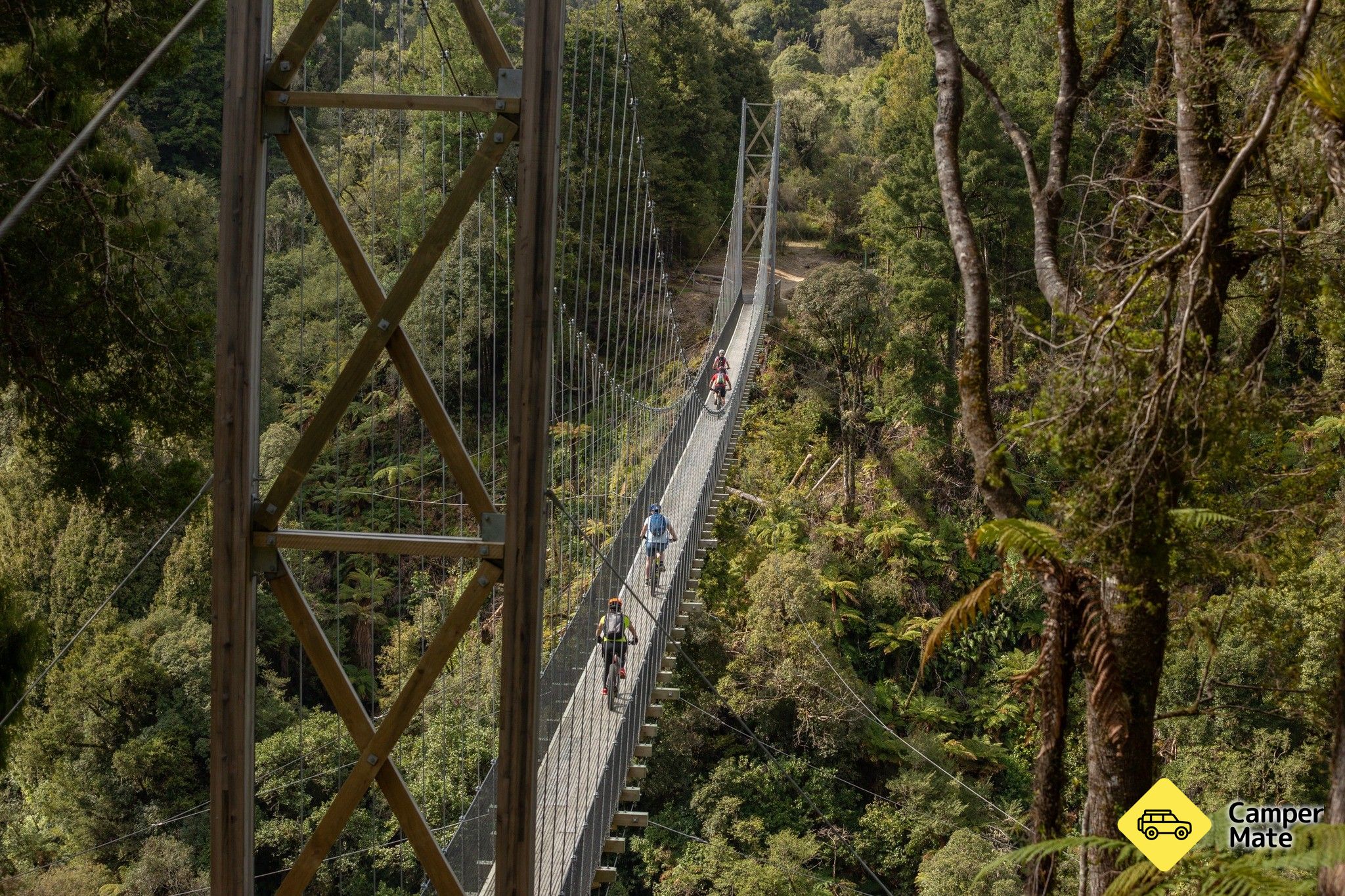 Timber Trail Cycling - Image 3
